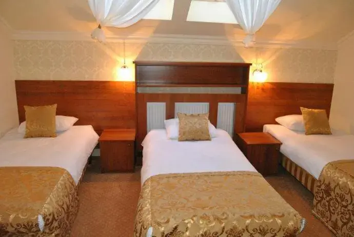 Standard Triple Room in Villa Anna Standard Triple Room in Villa Anna