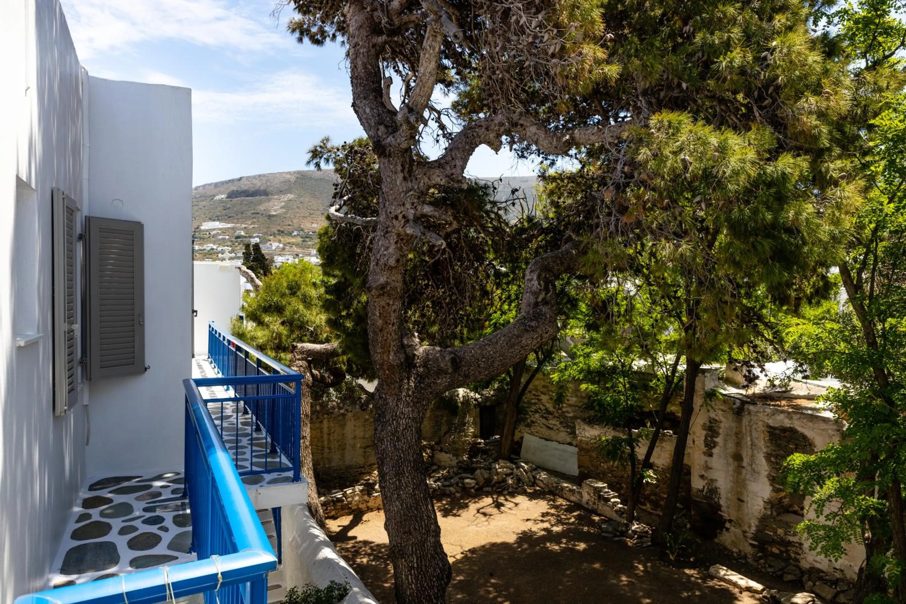 View (from property/room) in Hotel Dina