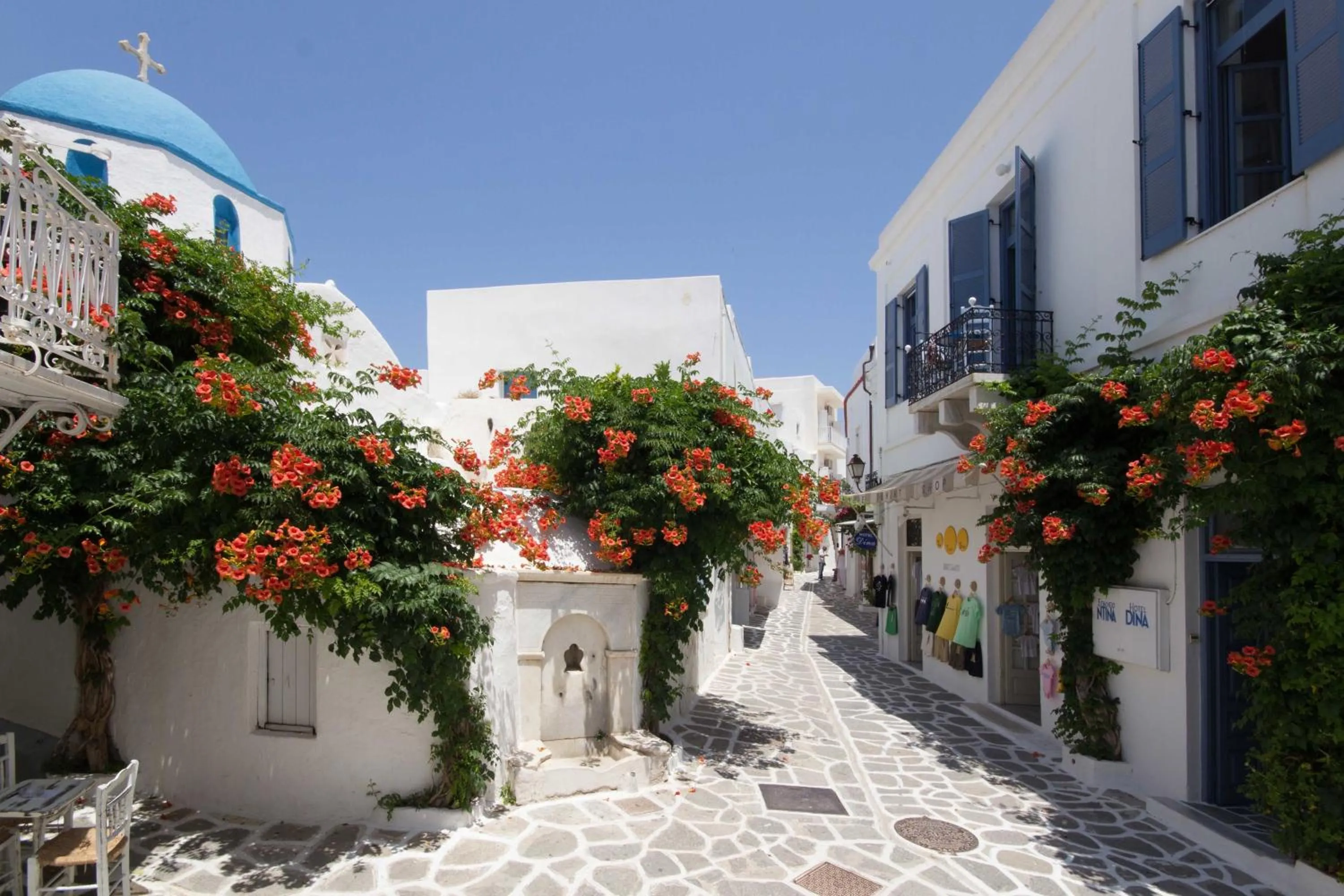 Neighbourhood in Hotel Dina