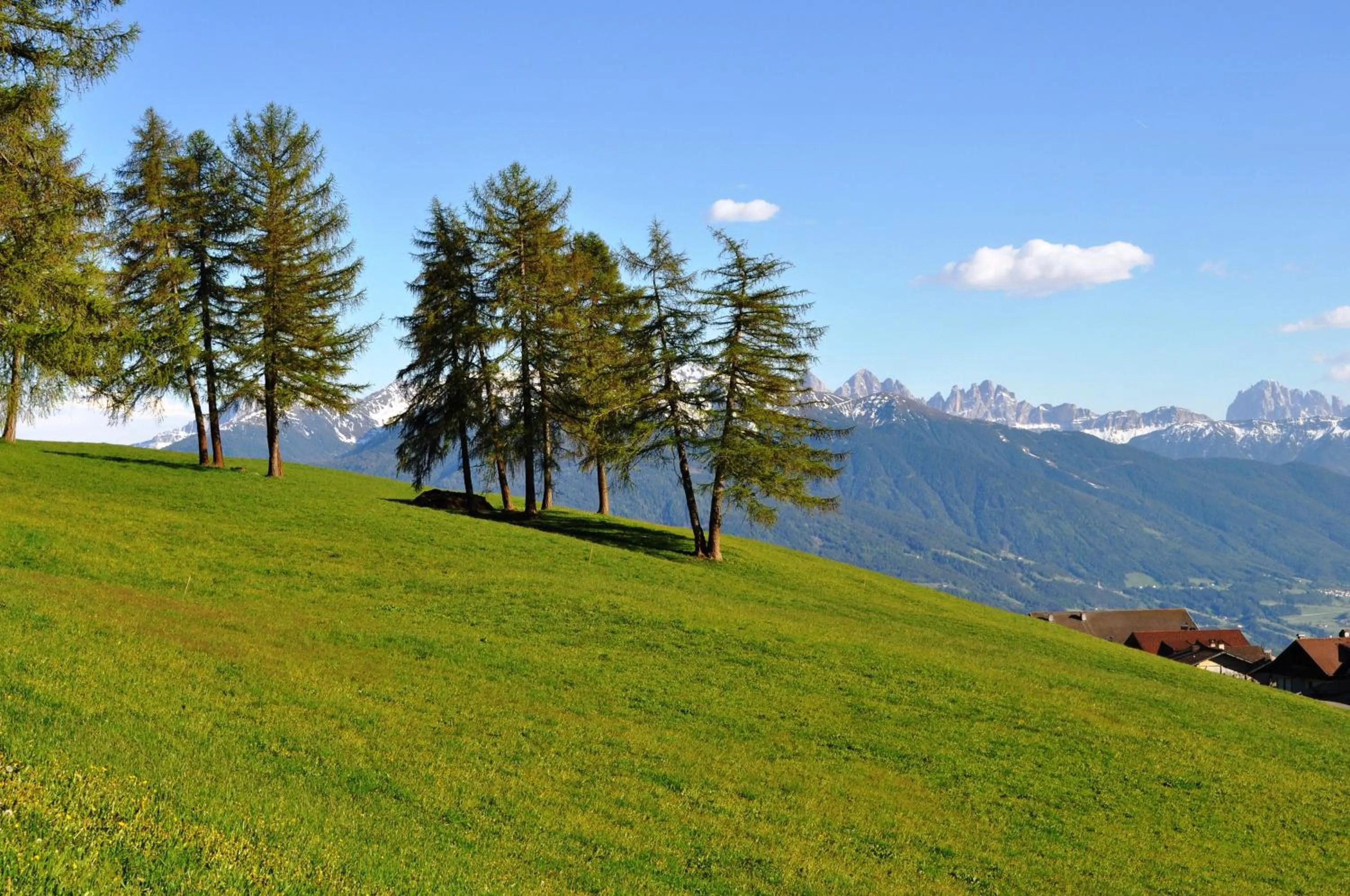 Natural landscape in Hotel Kristall