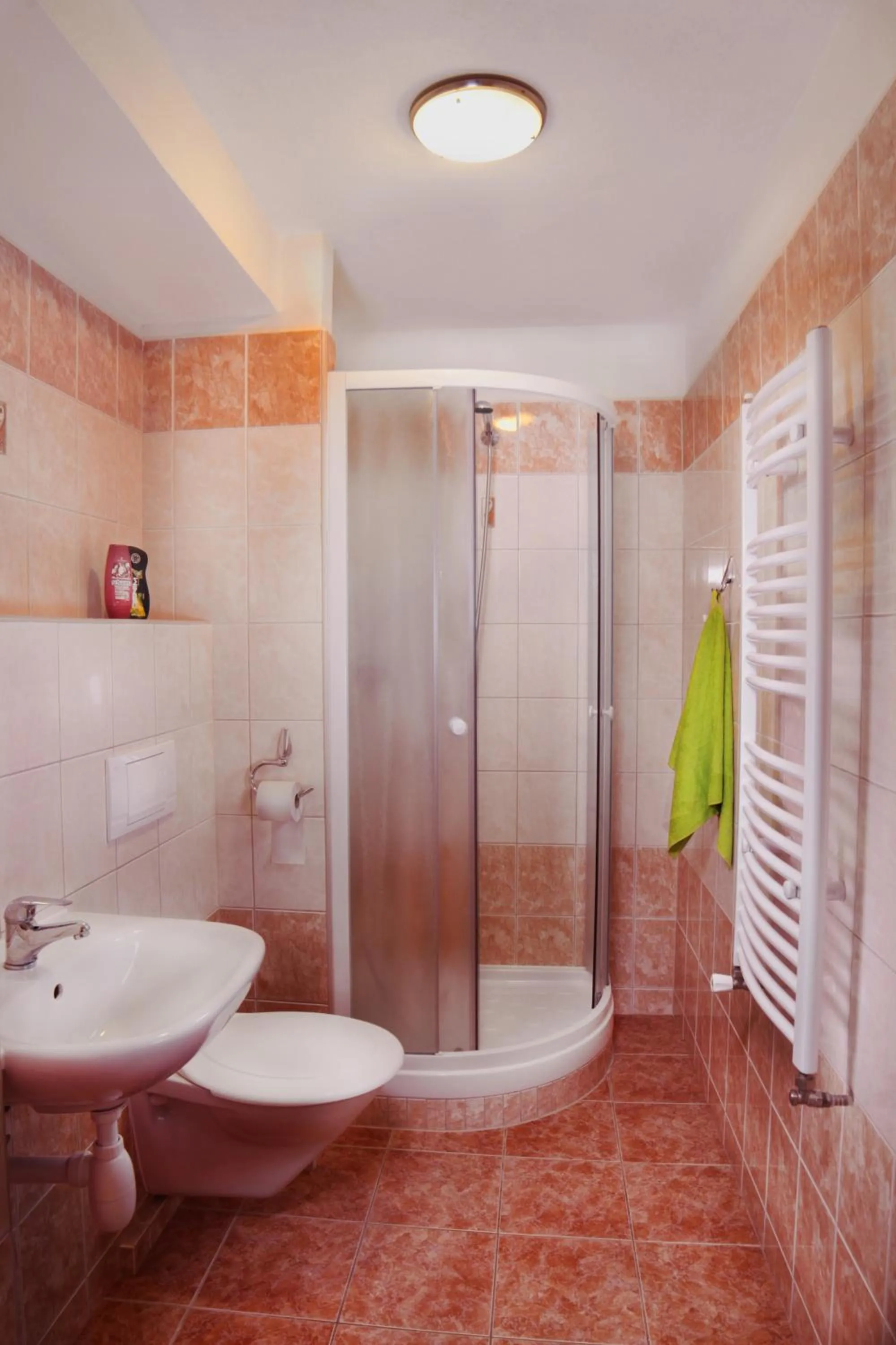 Decorative detail in Hotel Pod Stráží