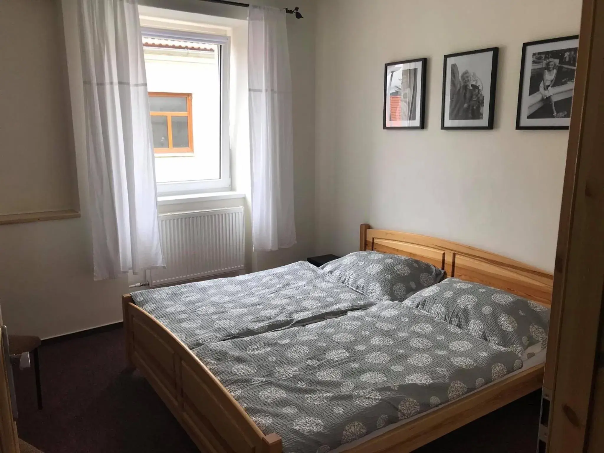 Double or Twin Room in Hotel Pod Stráží Double or Twin Room in Hotel Pod Stráží