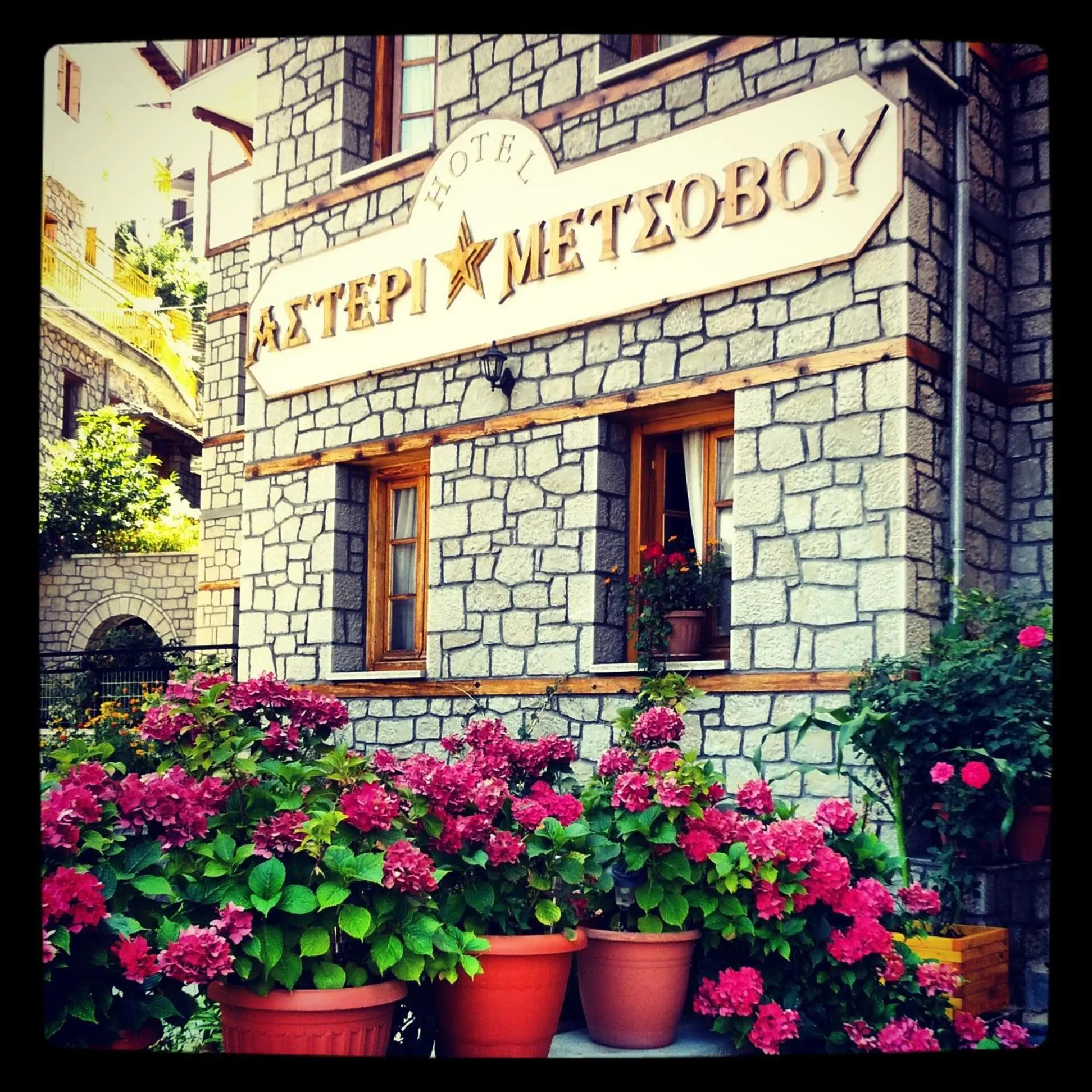 Facade/entrance in Asteri Metsovou
