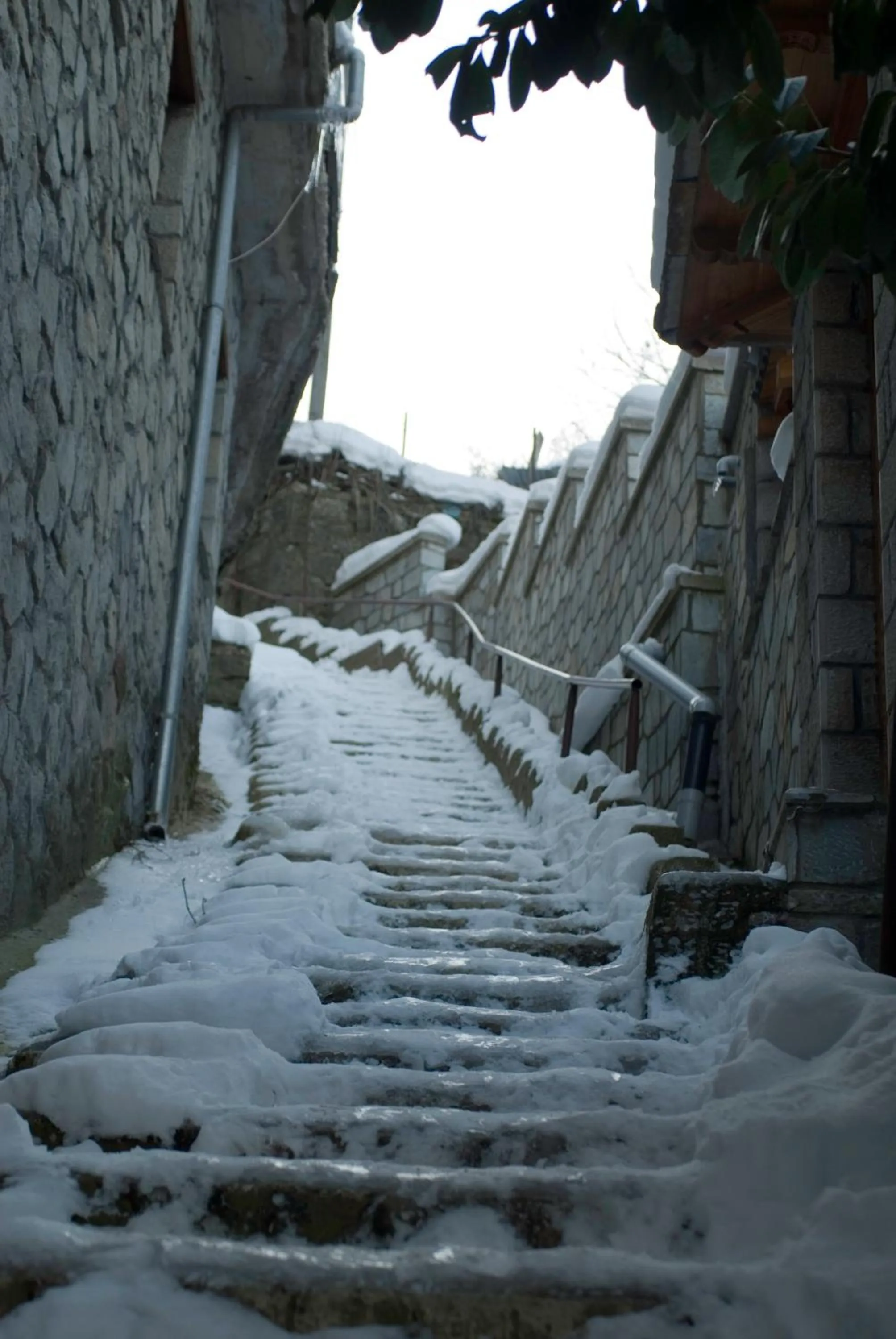 Area and facilities in Asteri Metsovou