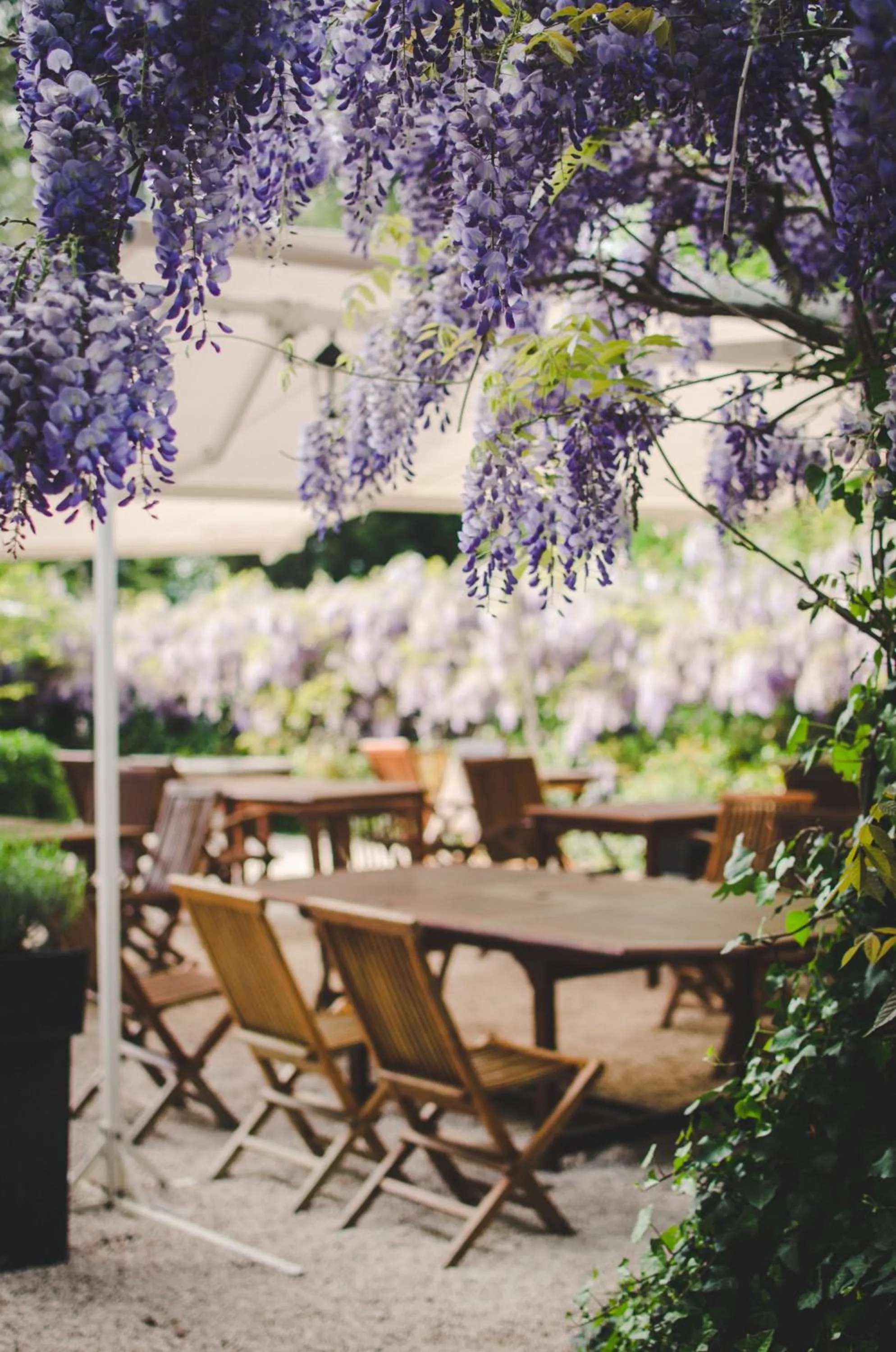 Spring in Hotel Logis - Chateau de Beauregard