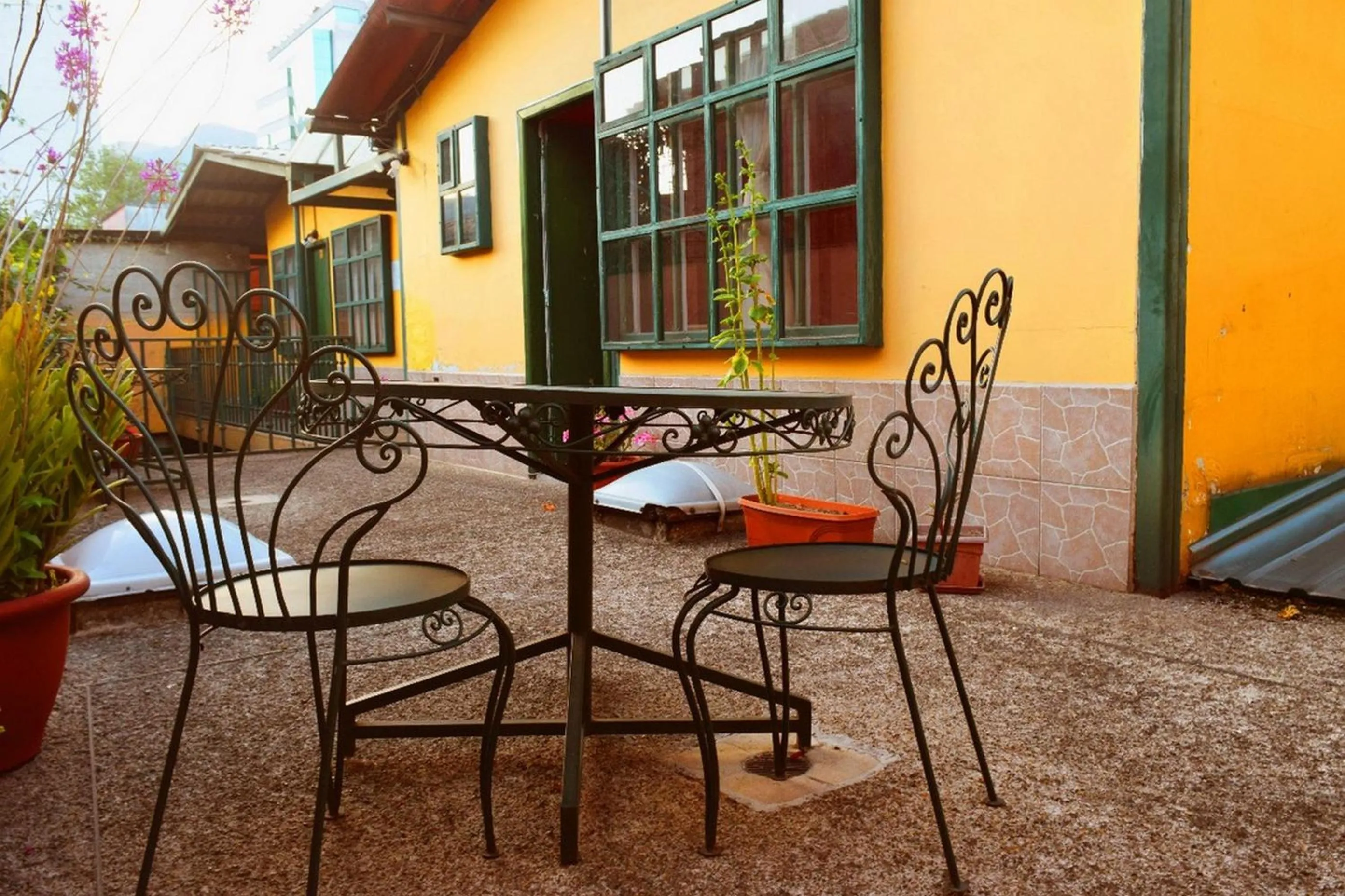 Garden in Hostal Alcala