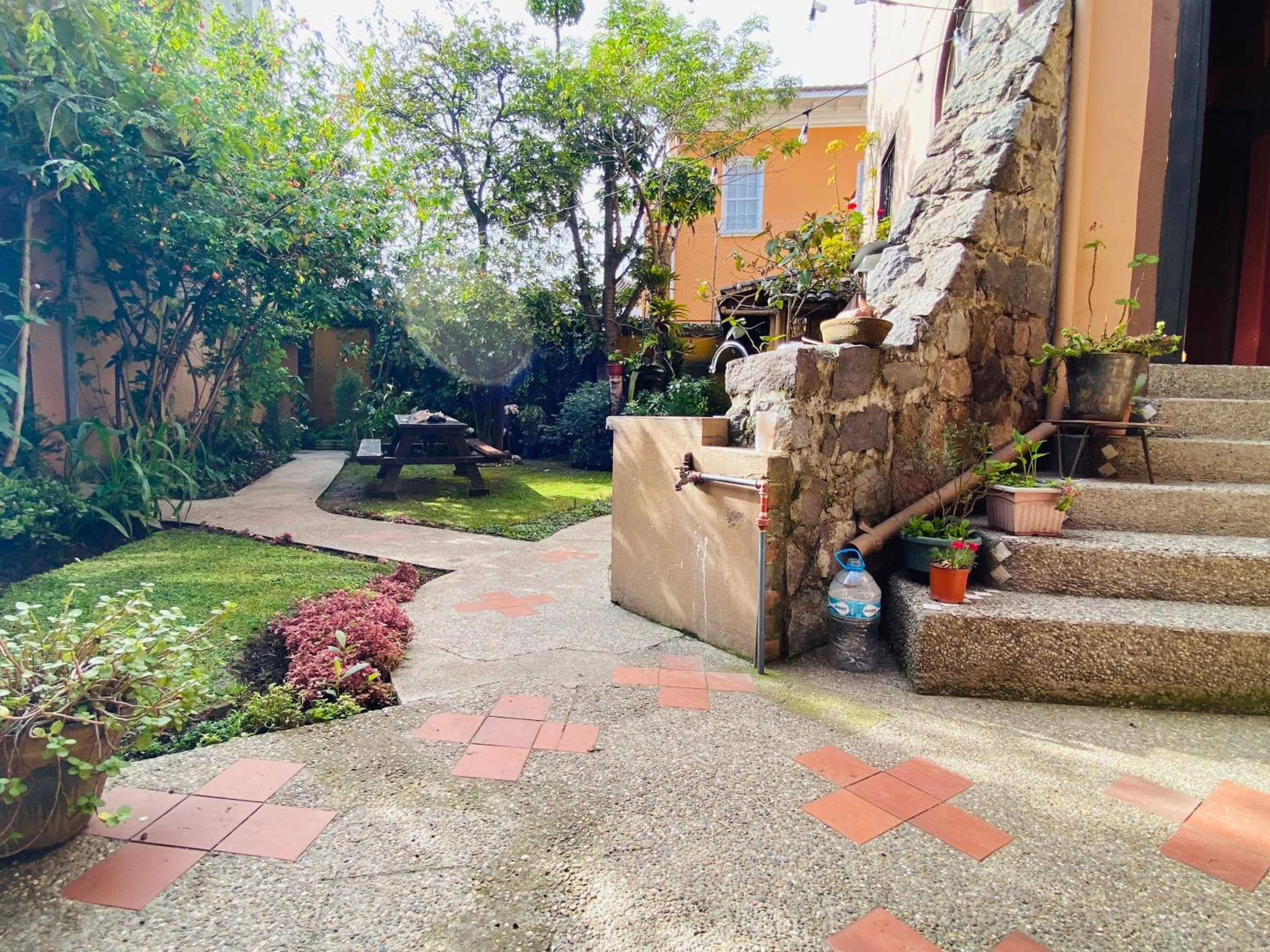 Garden in Hostal Alcala