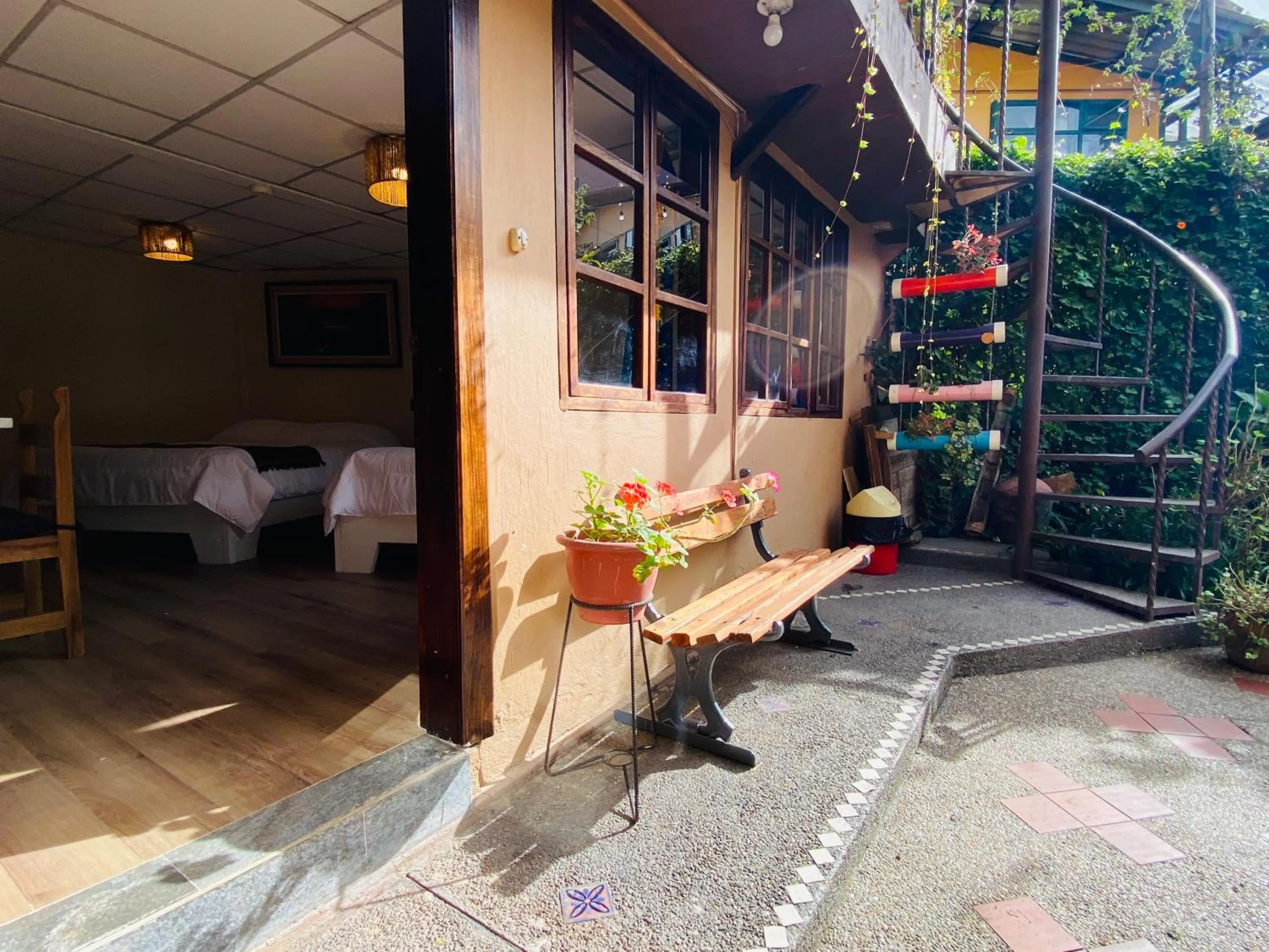 Garden in Hostal Alcala