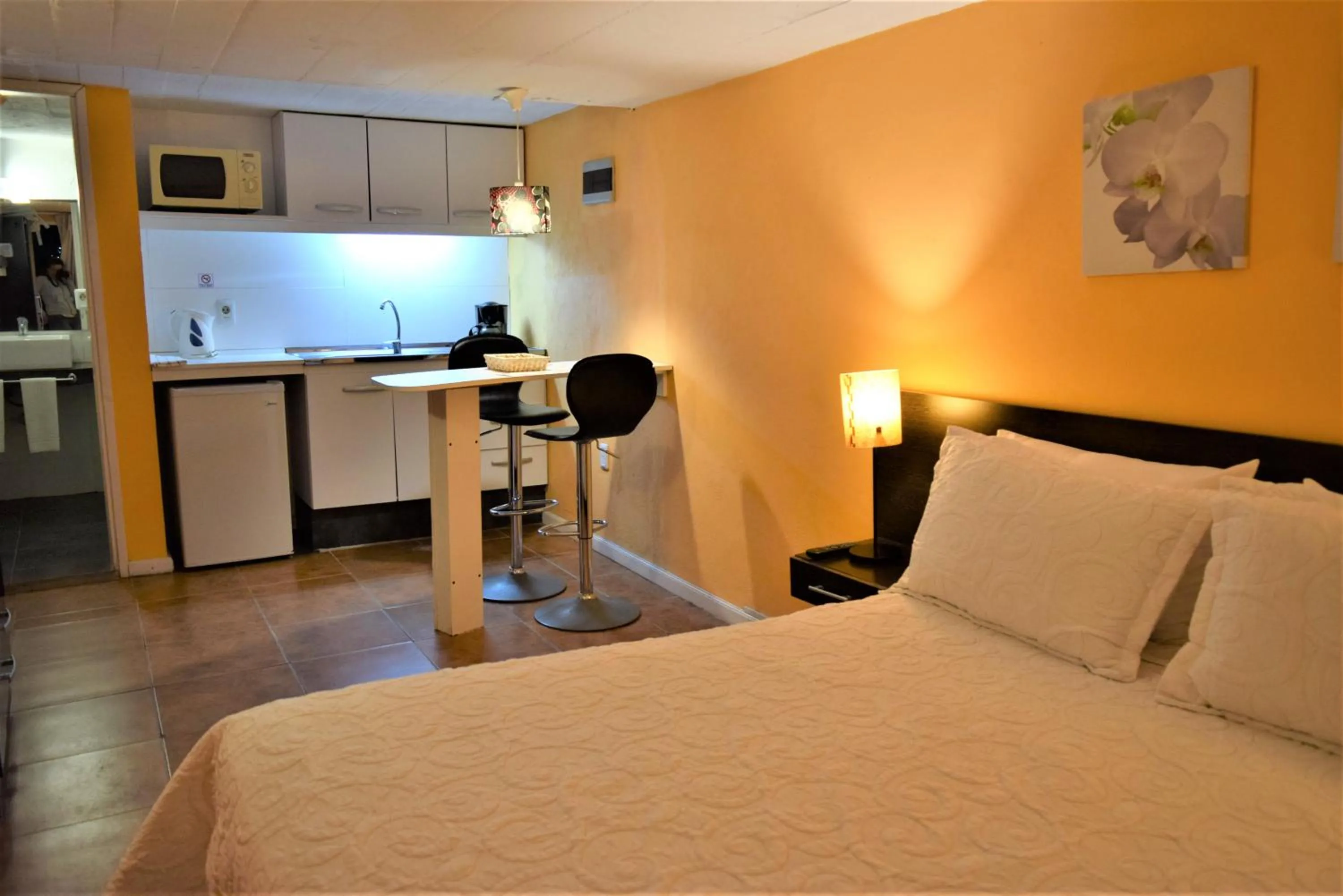 Studio Apartment with Sea View in Apart Hotel Terrazas de San Francisco