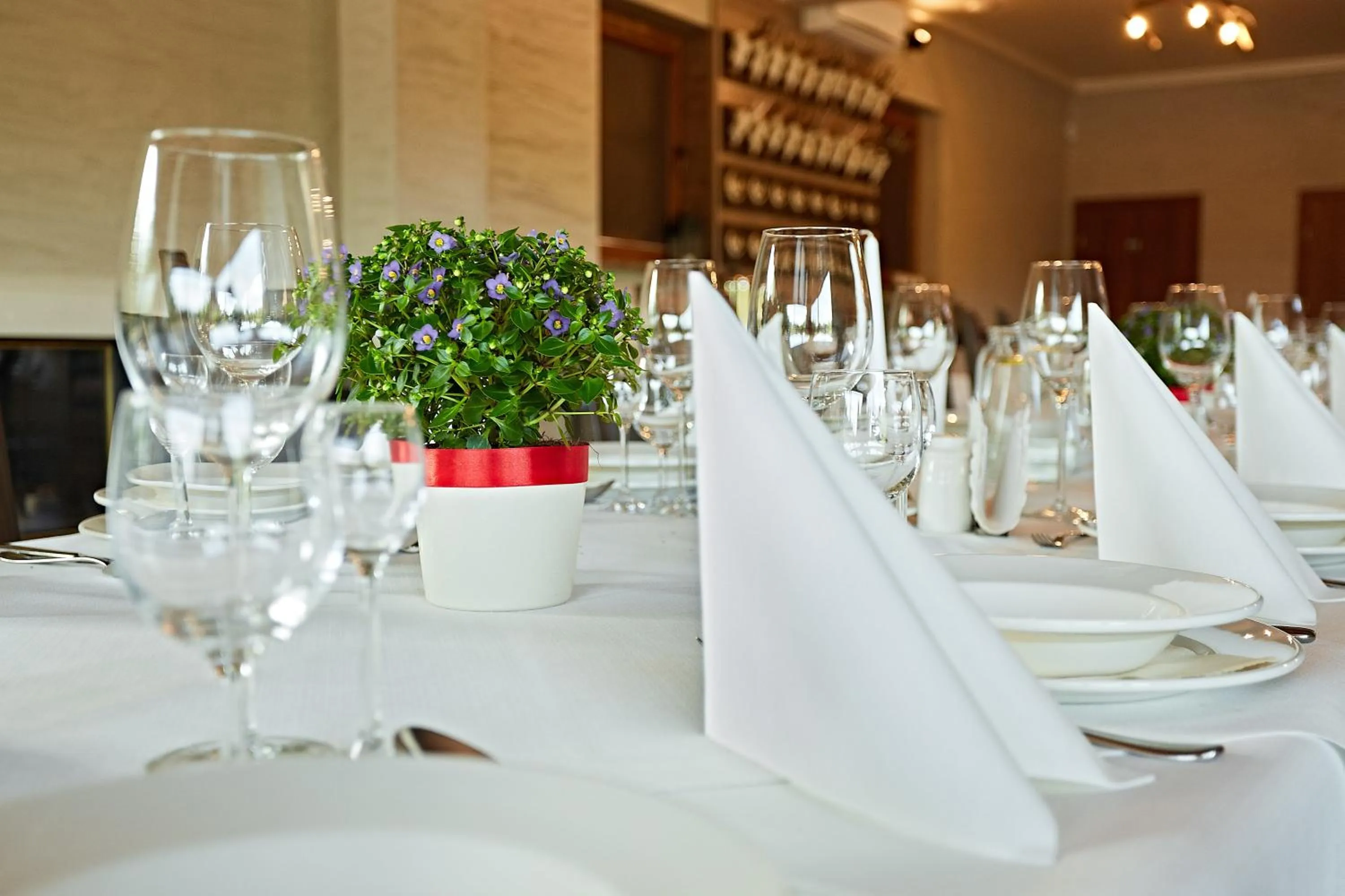 Food and drinks in Hotel Styl 70