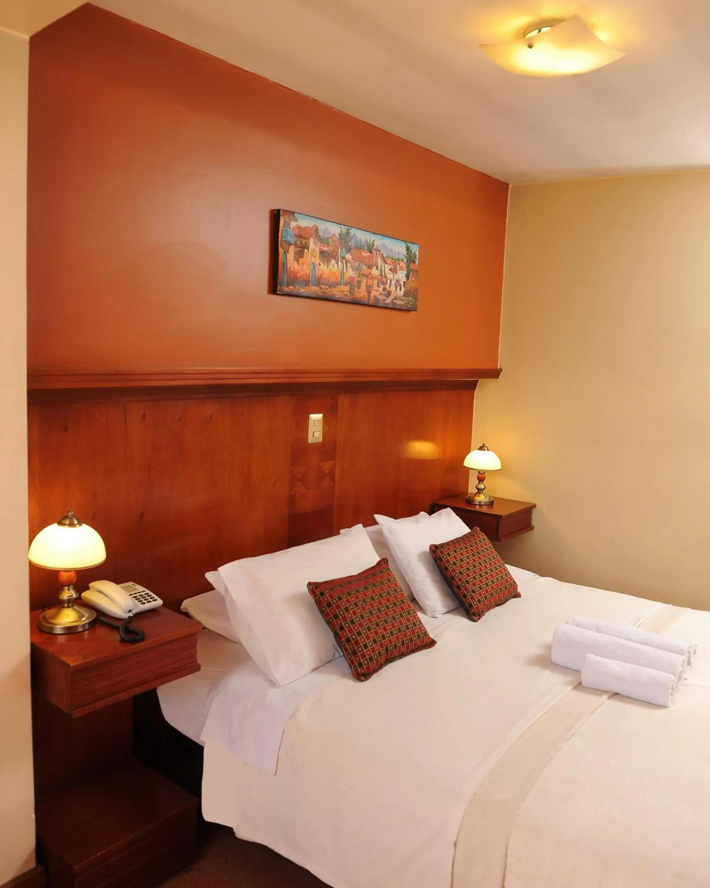 Double Room - single occupancy in Hotel Waynapicchu Double Room - single occupancy in Hotel Waynapicchu