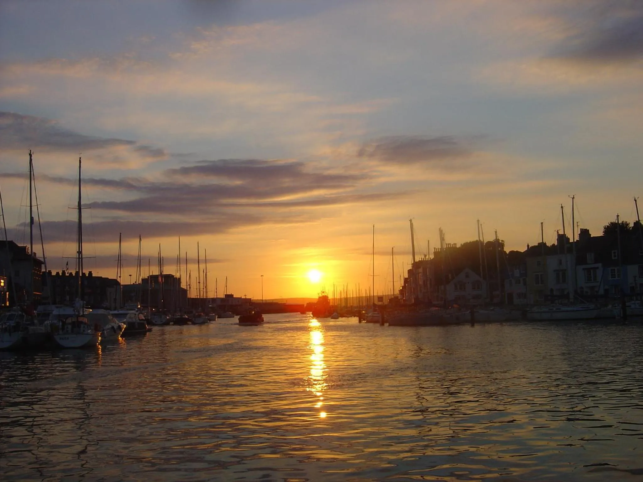 Area and facilities in Hotel Rex