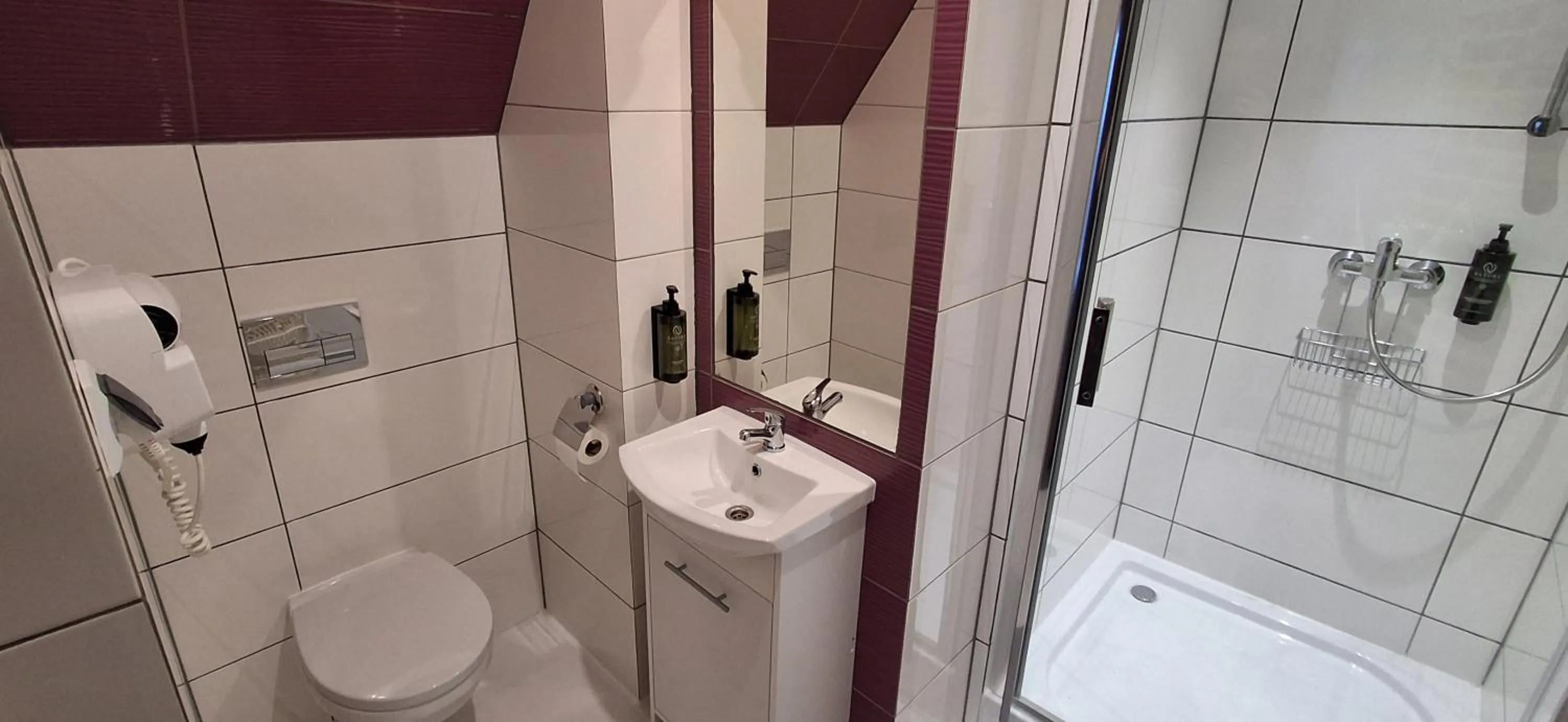 Shower in Willa na Olczańskim Wierchu - apartamenty i pokoje