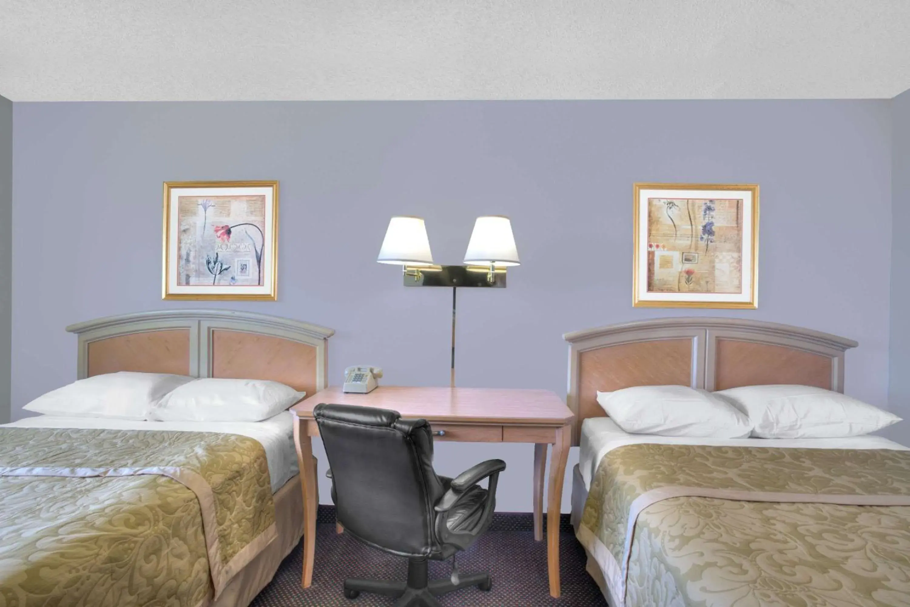 Photo of the whole room, Bed in Super 8 by Wyndham Augusta Photo of the whole room, Bed in Super 8 by Wyndham Augusta