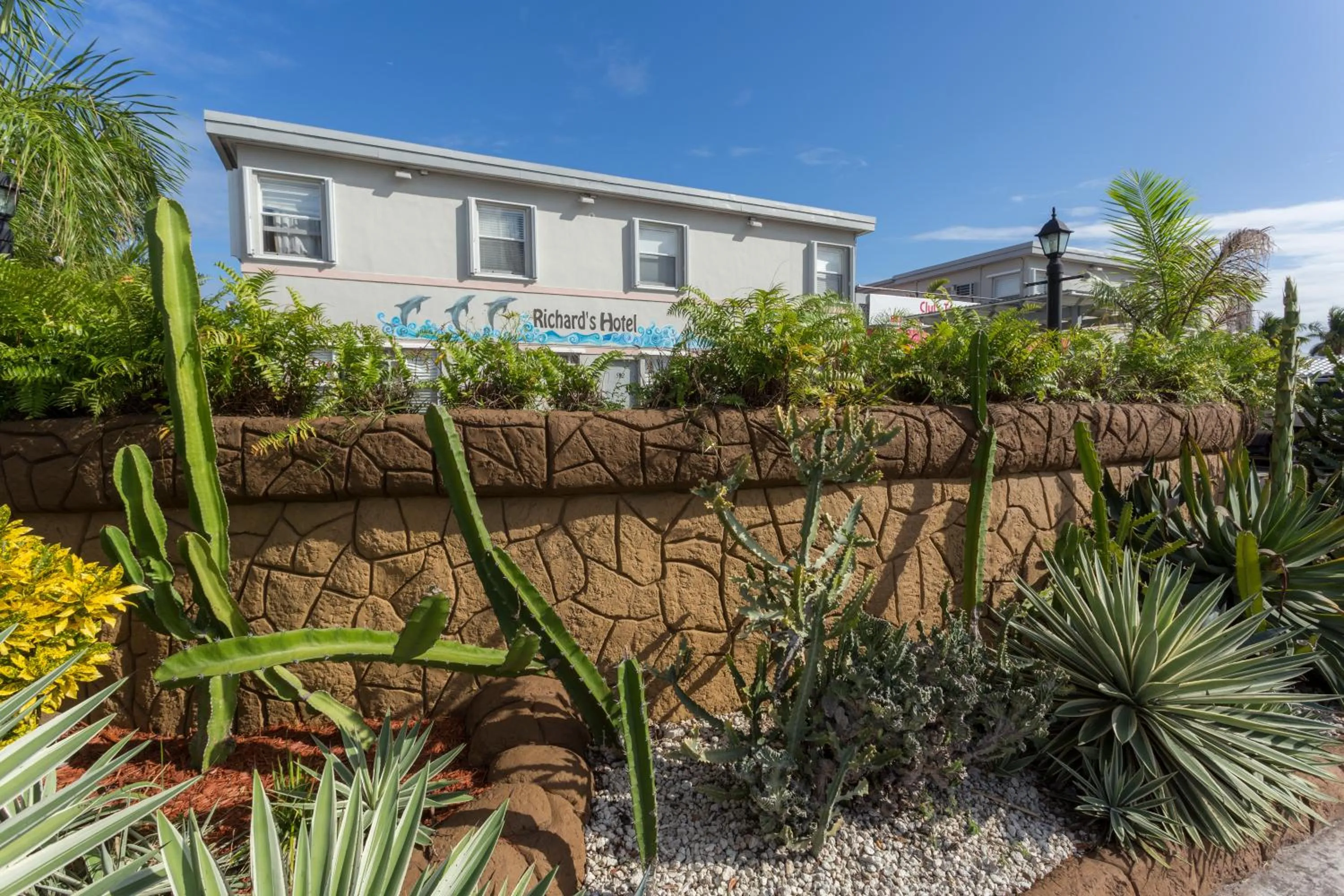 Garden in Richard's Hotel