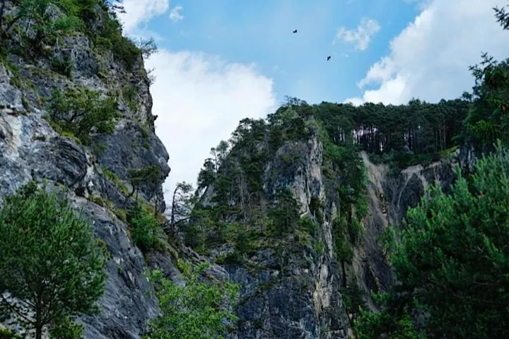 Natural landscape in Café-Pension Margret