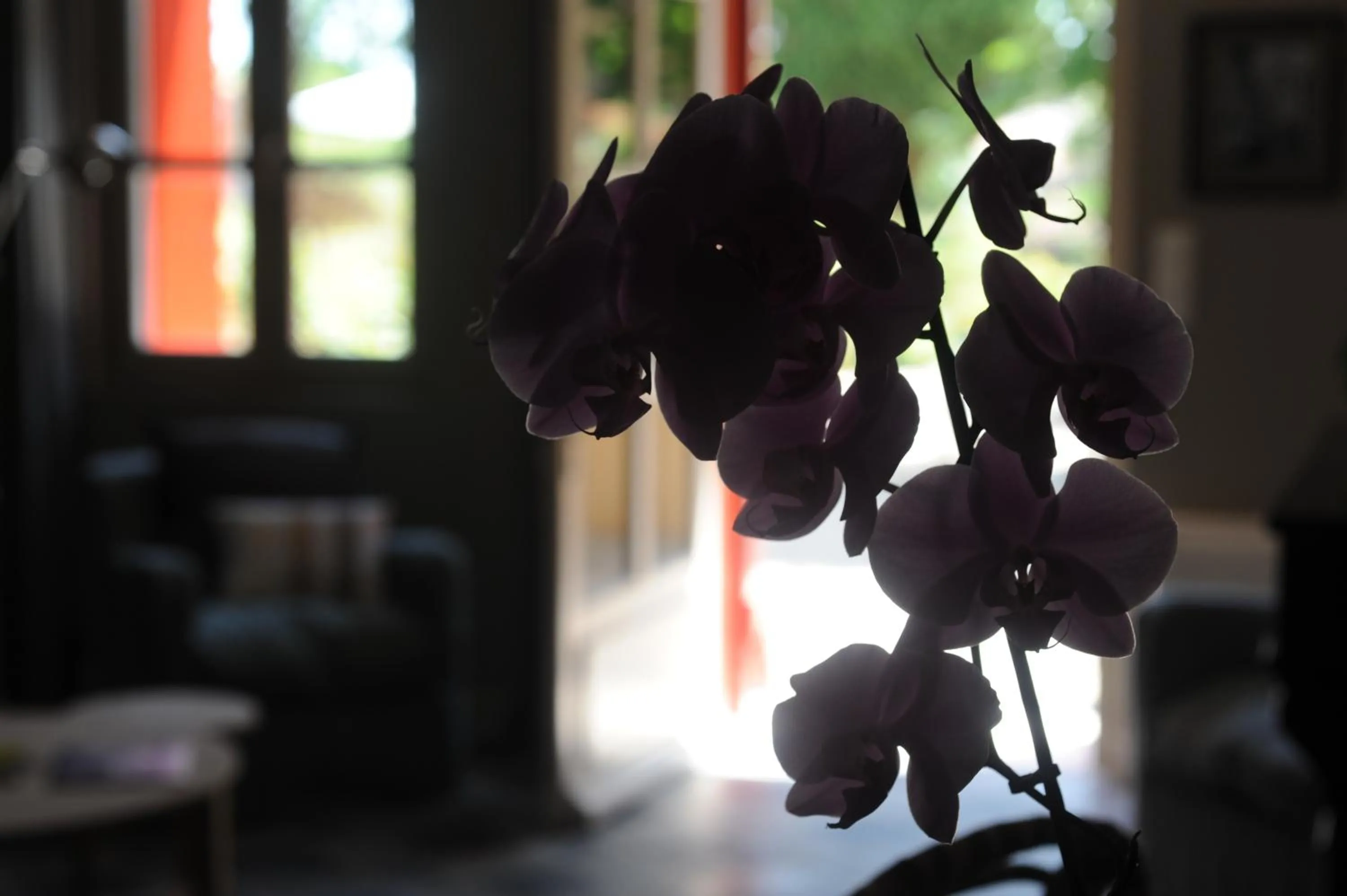 Day in Les Chambres d'Andrea