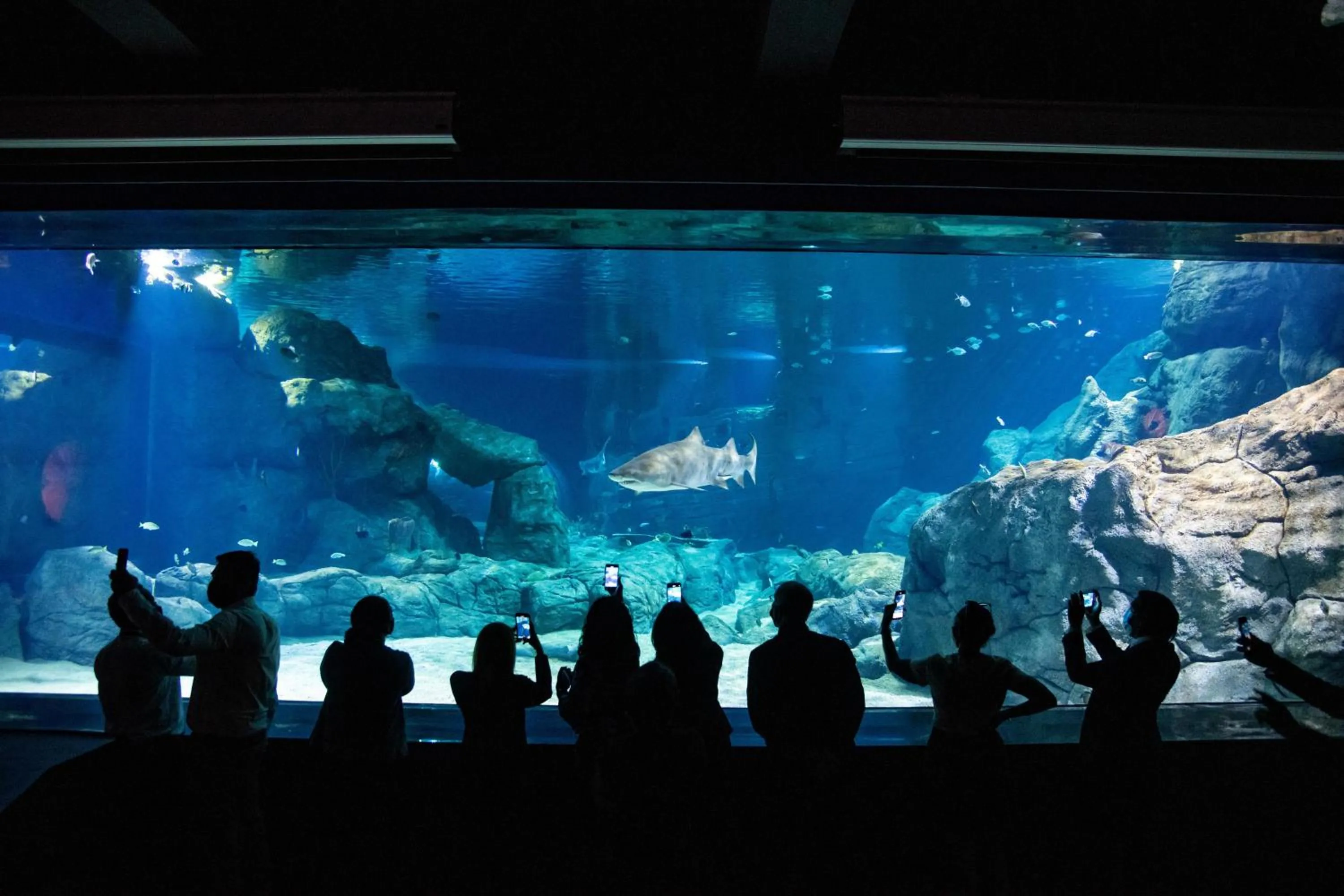 Landmark view in Labourdonnais Waterfront Hotel