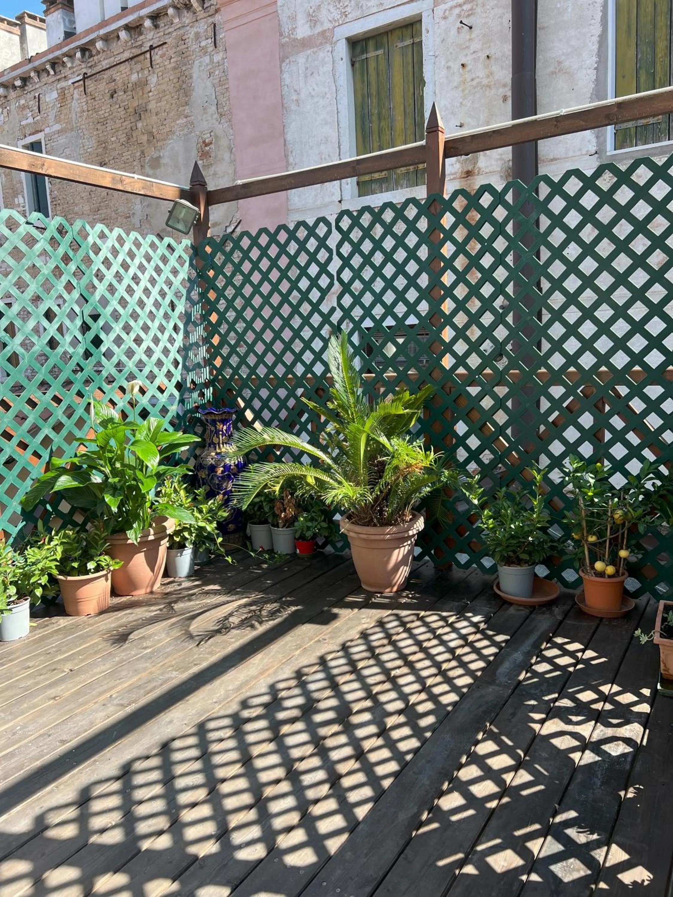 Balcony/Terrace in Hotel San Luca Venezia