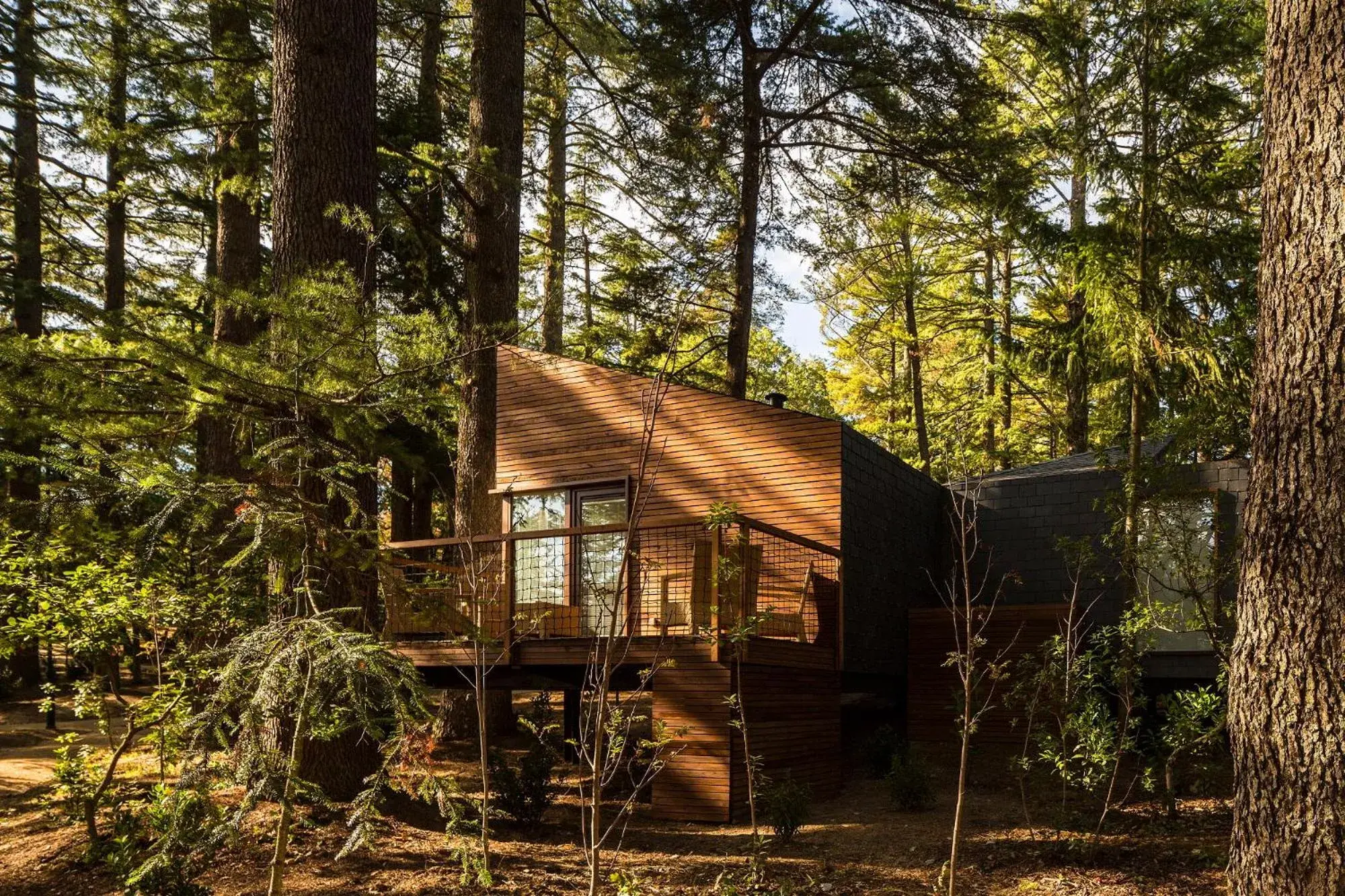 Privilege Bungalow in Pedras Salgadas Spa & Nature Park Privilege Bungalow in Pedras Salgadas Spa & Nature Park