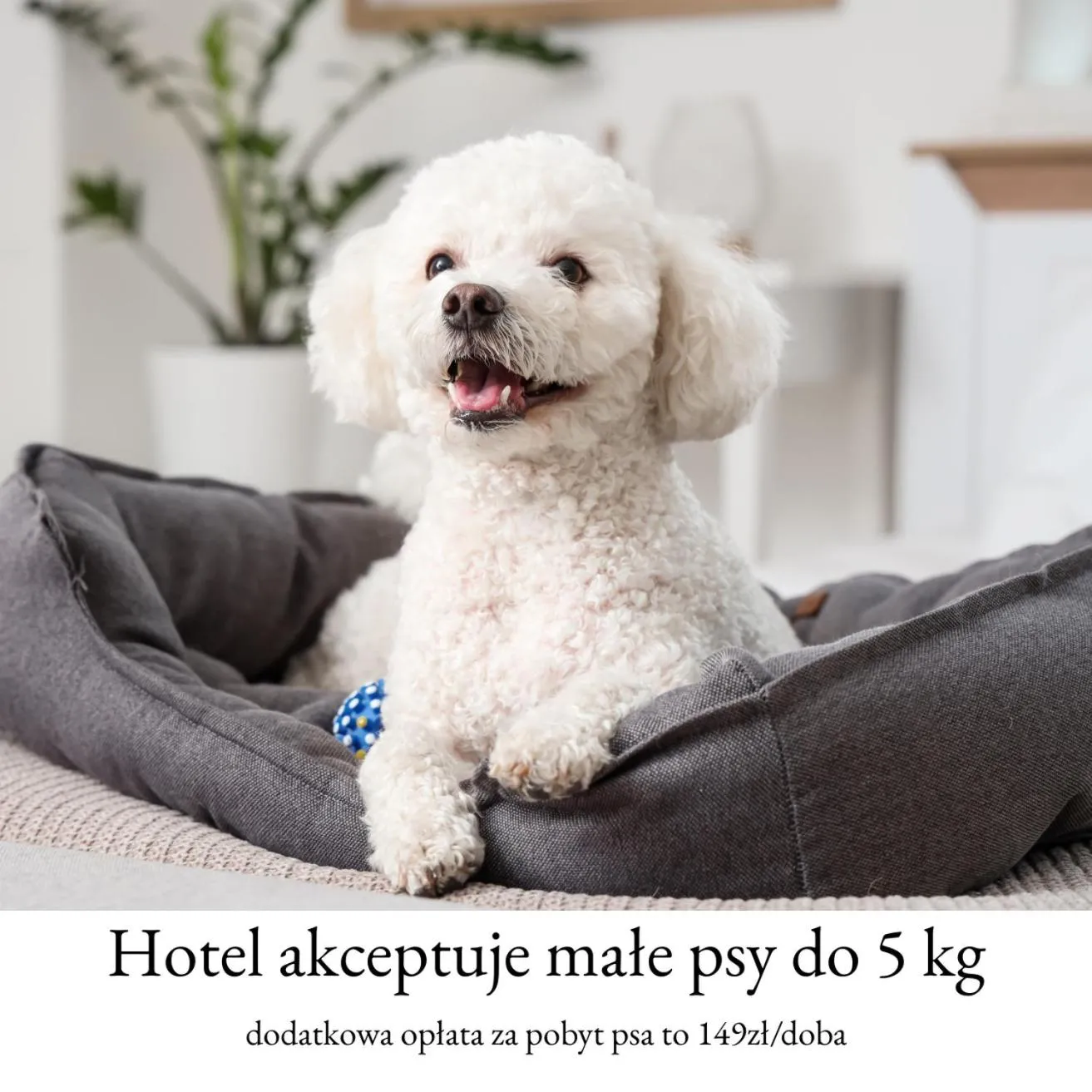 Tiffi Boutique Hotel