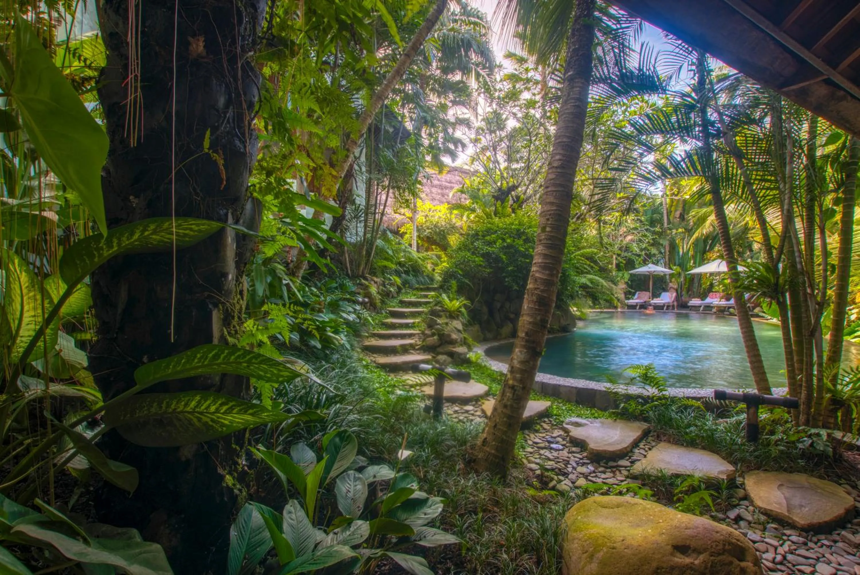 Swimming pool in Stone House