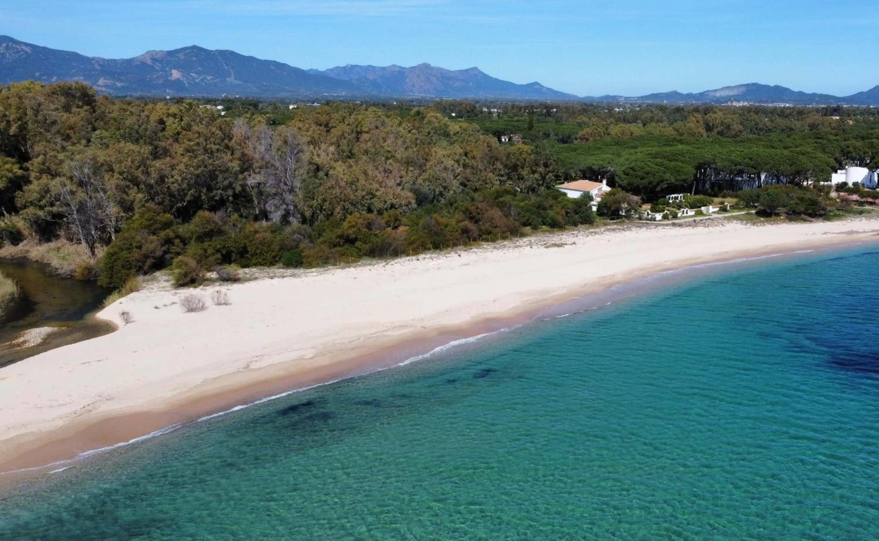Beach in Hotel Mare Pineta