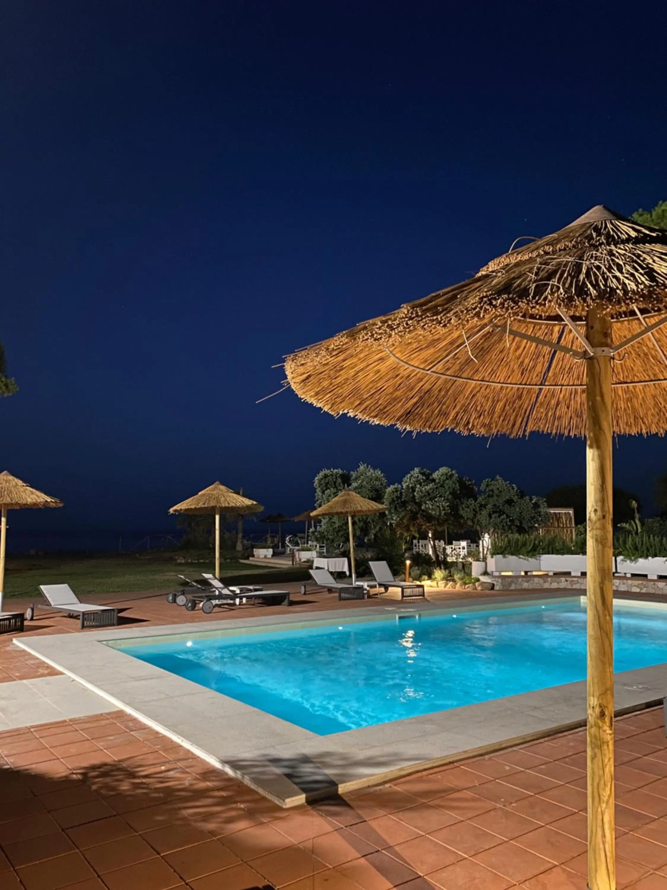 Swimming pool in Hotel Mare Pineta