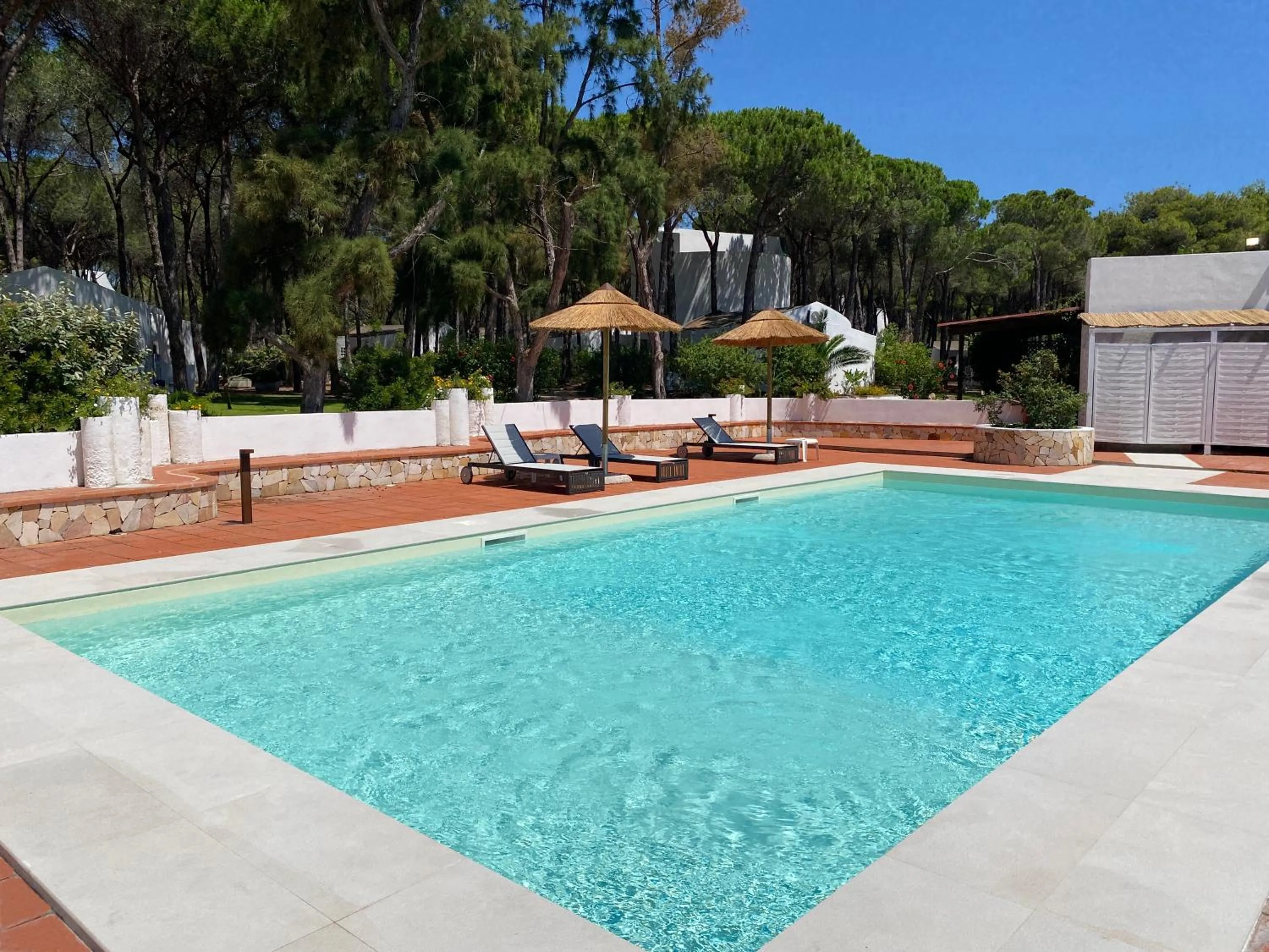 Swimming pool in Hotel Mare Pineta