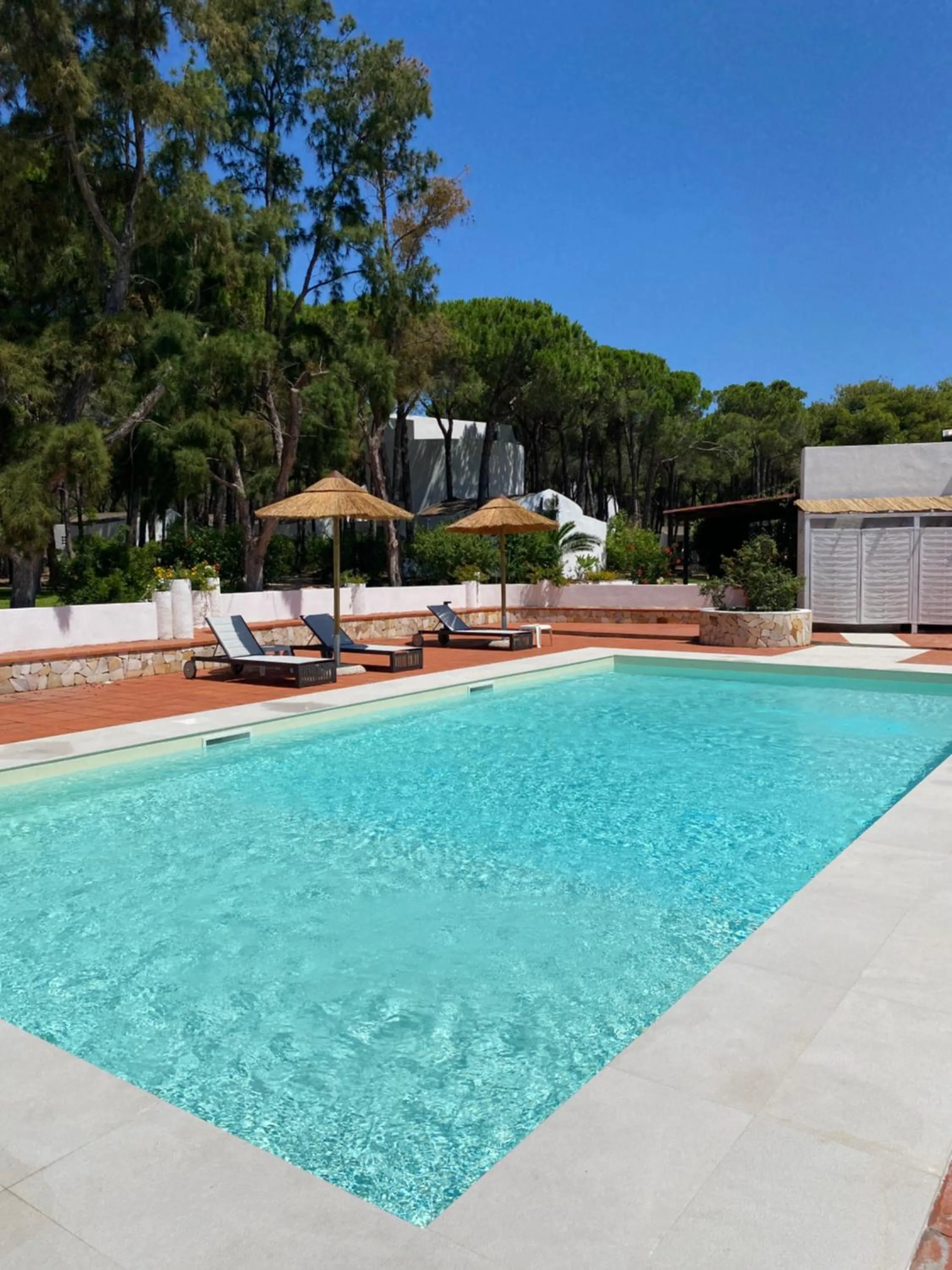 Swimming pool in Hotel Mare Pineta