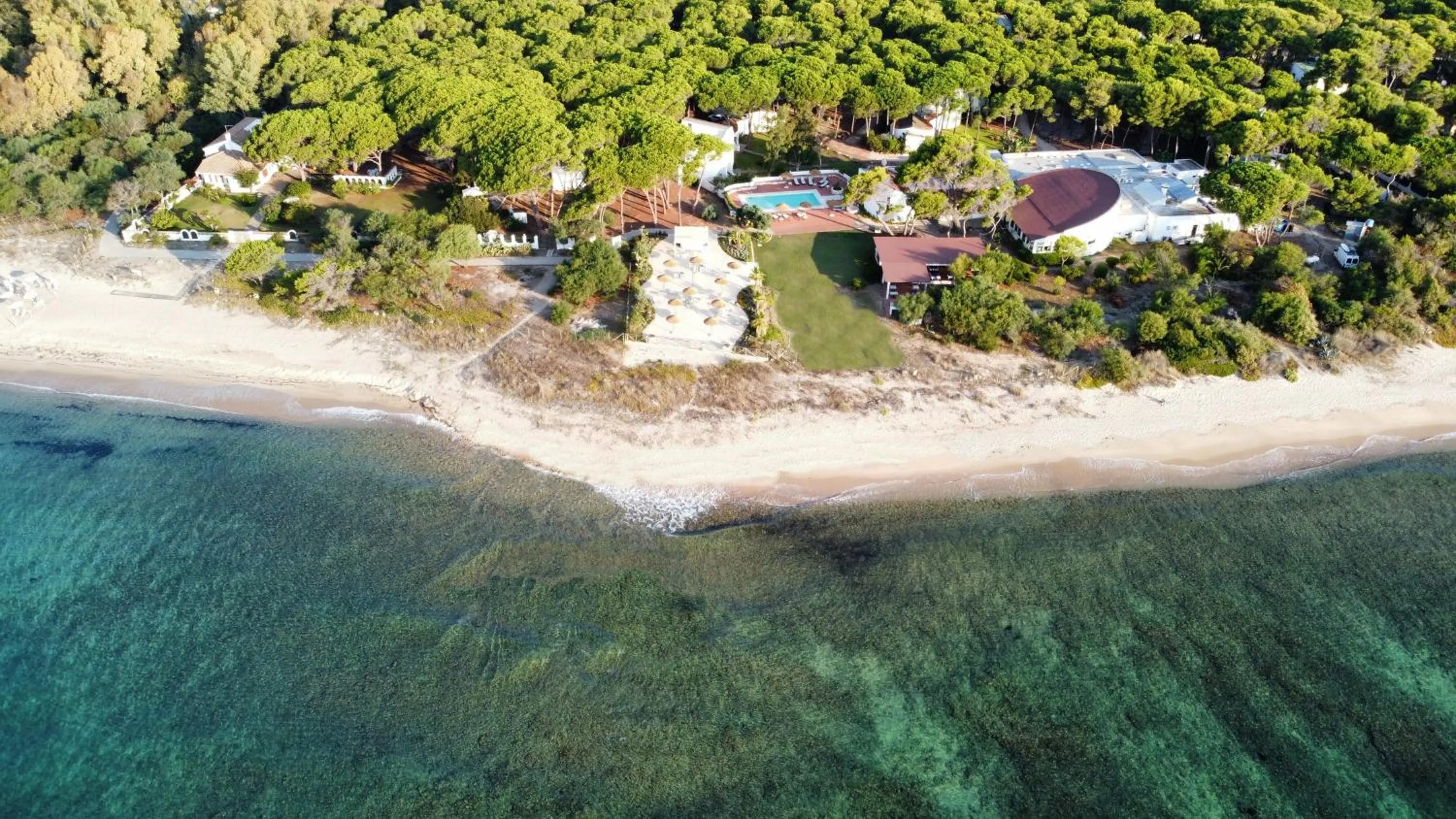 Bird's eye view in Hotel Mare Pineta
