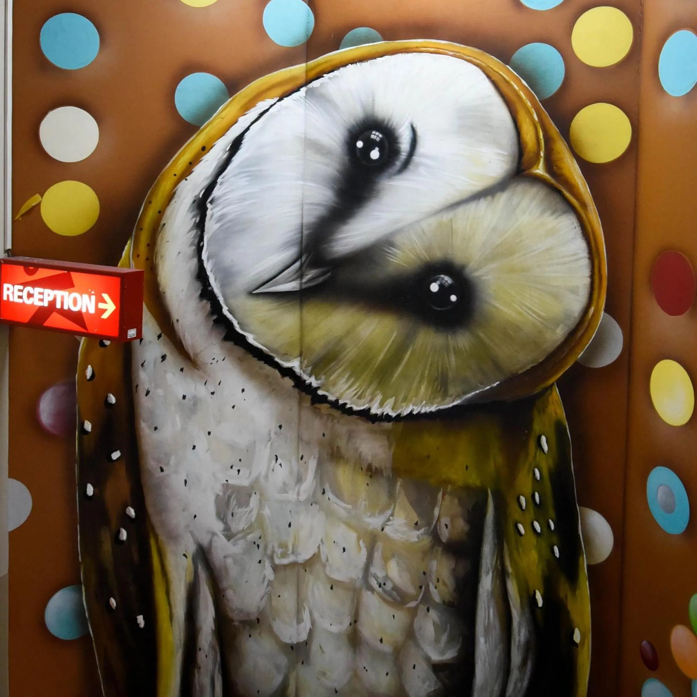 Decorative detail in Kinlay Hostel Eyre Square