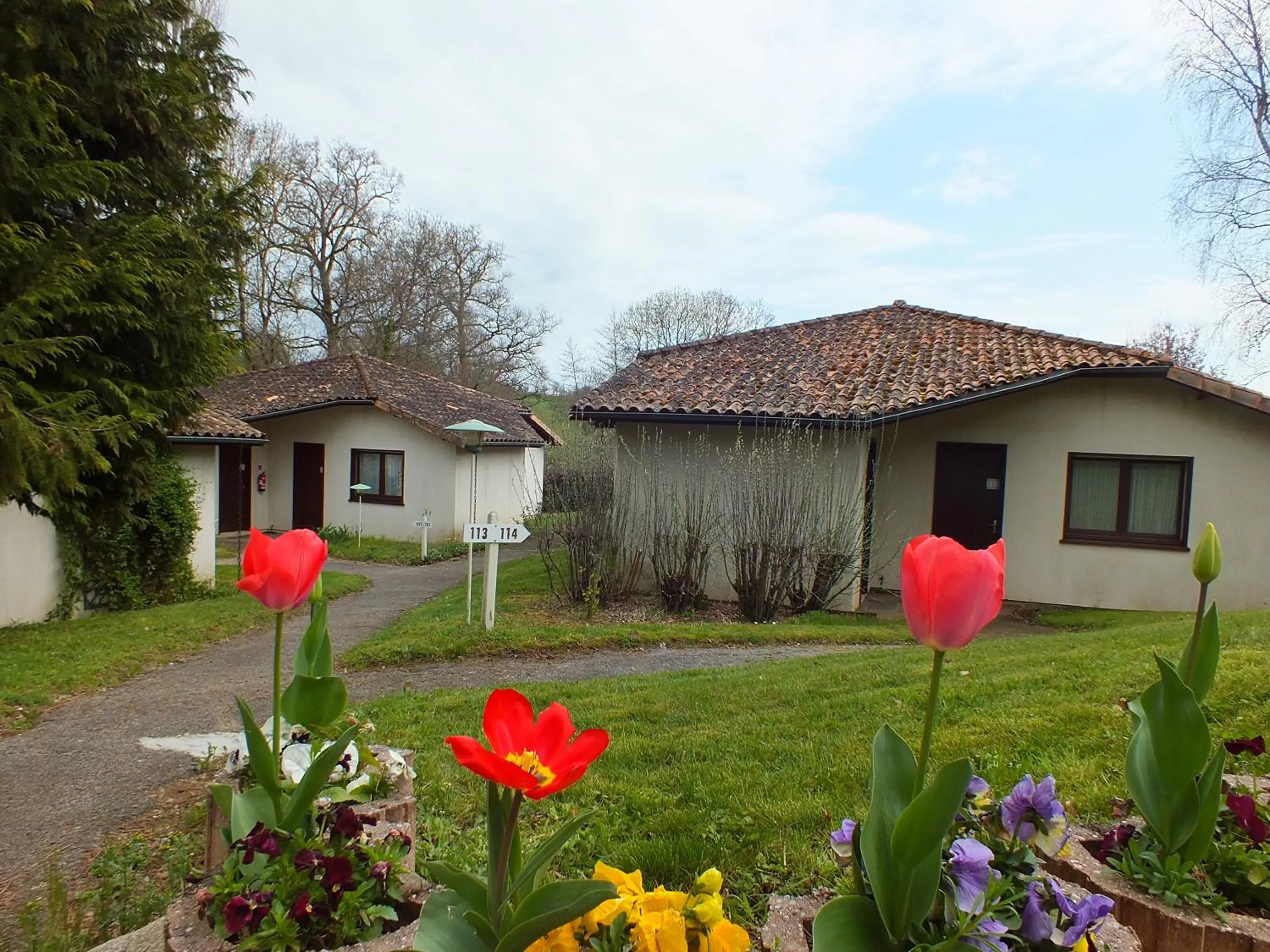 Garden in Hotel Restaurant Le Manguier