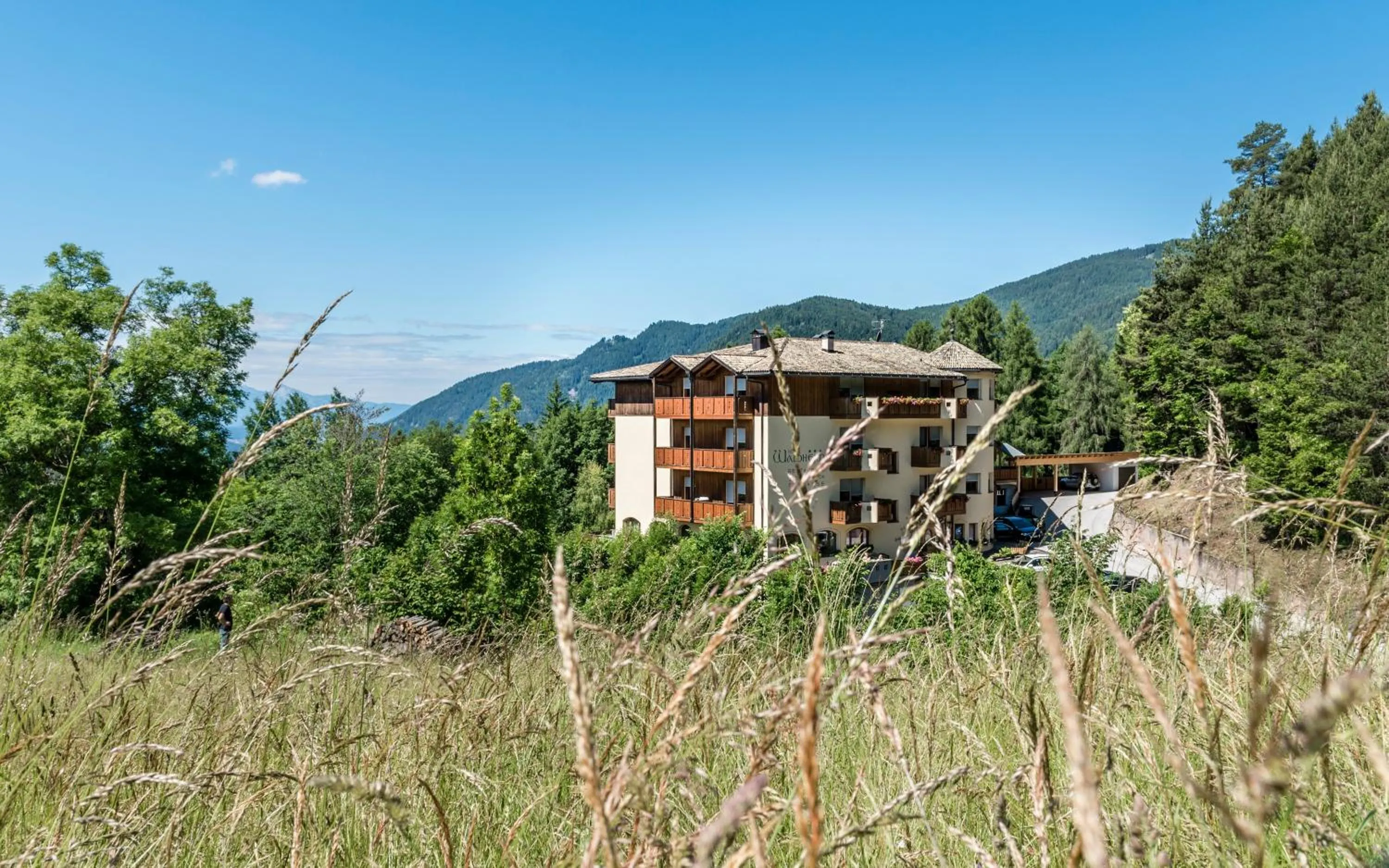 Area and facilities in Naturhotel Waldheim