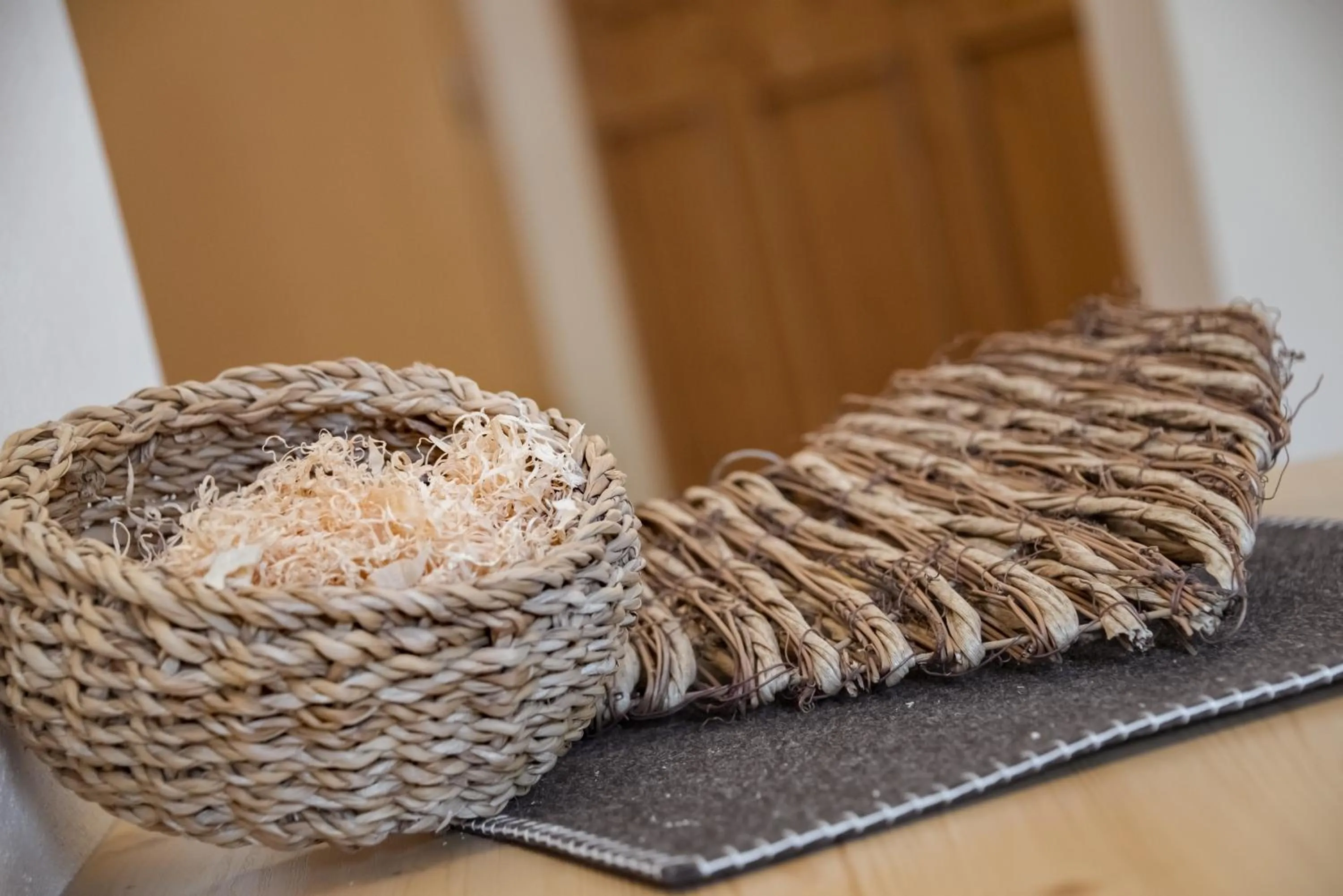 Area and facilities in Naturhotel Waldheim