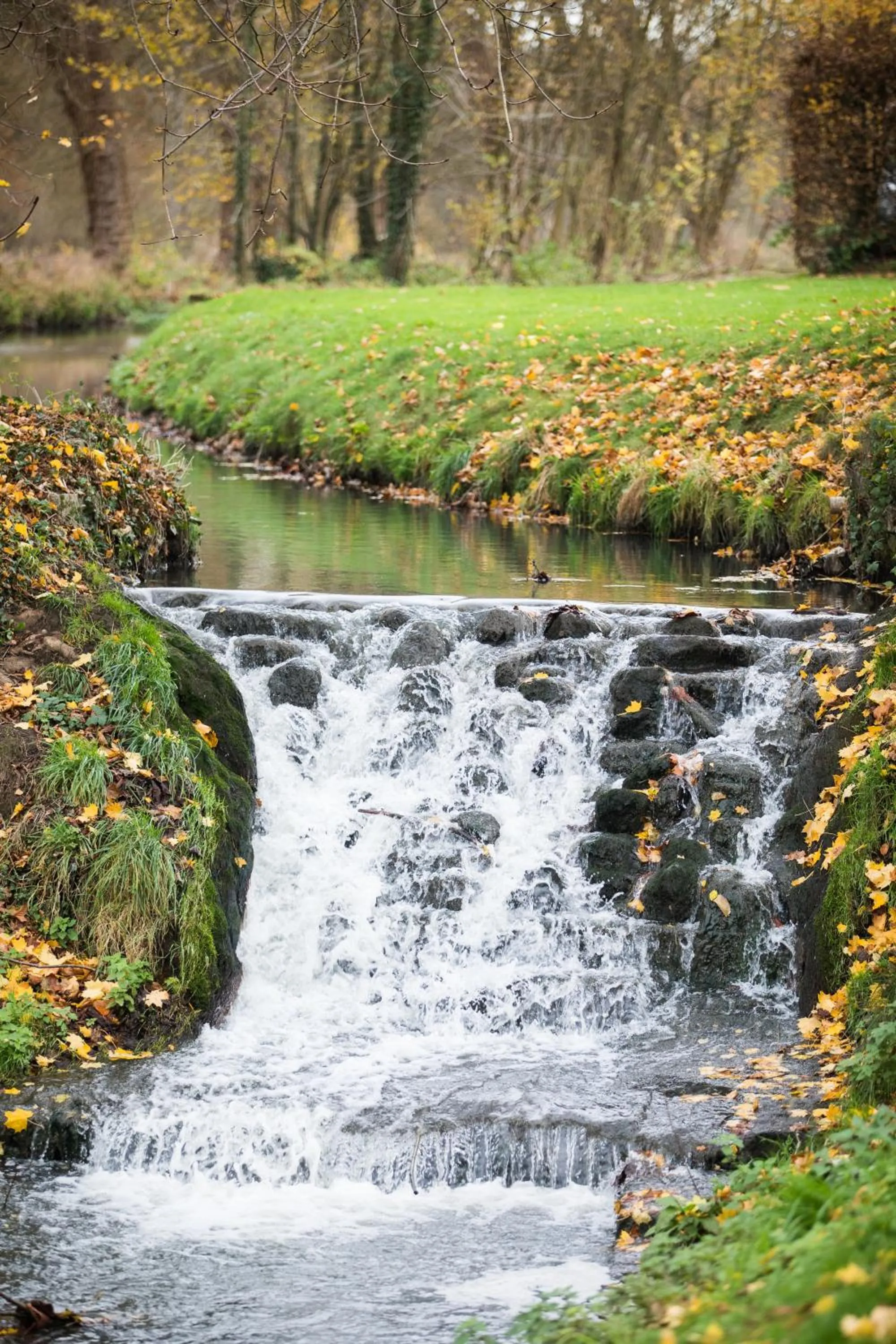 View (from property/room) in B&B Park7 Wavre - Leuven