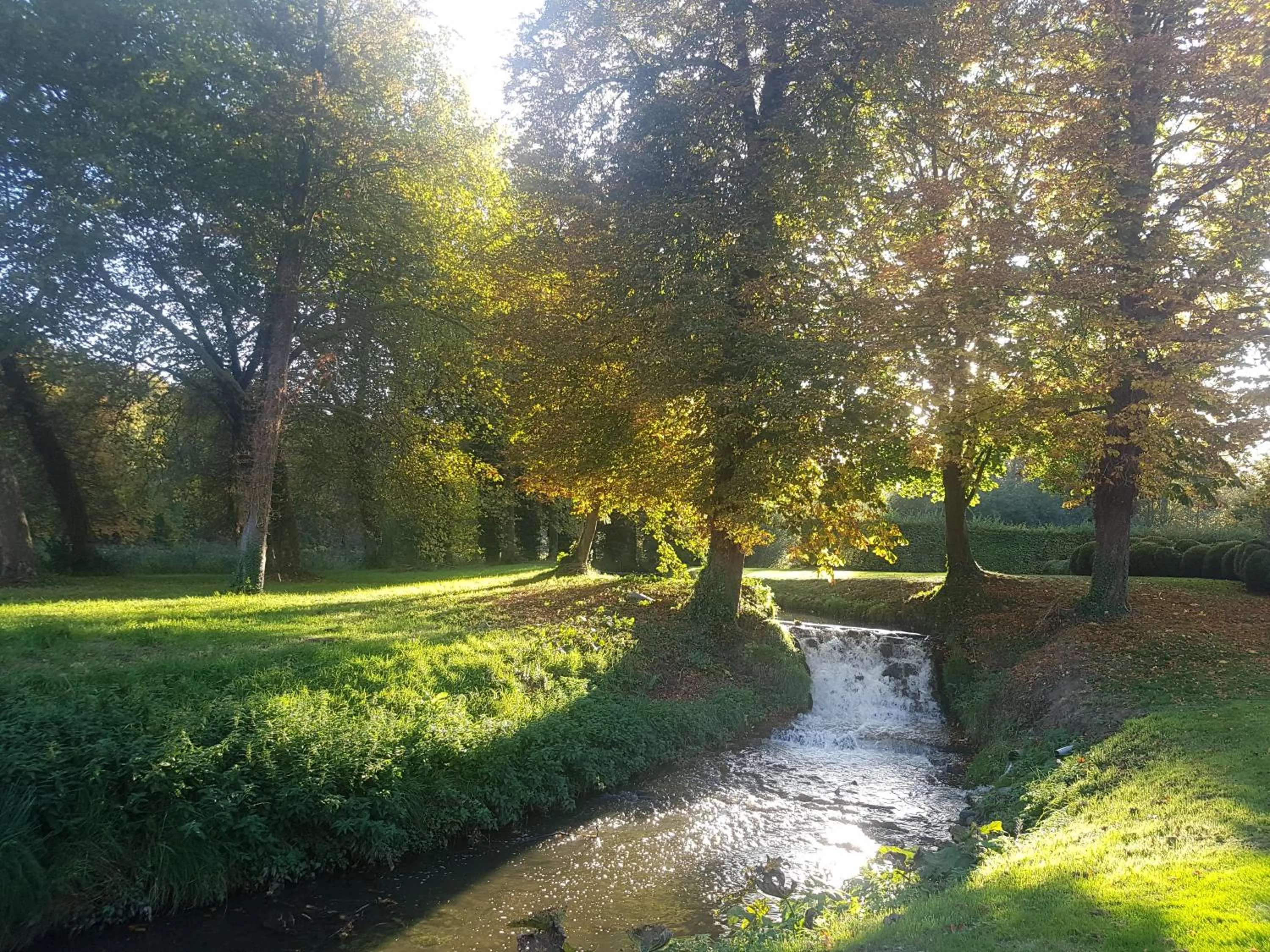 Garden in B&B Park7 Wavre - Leuven