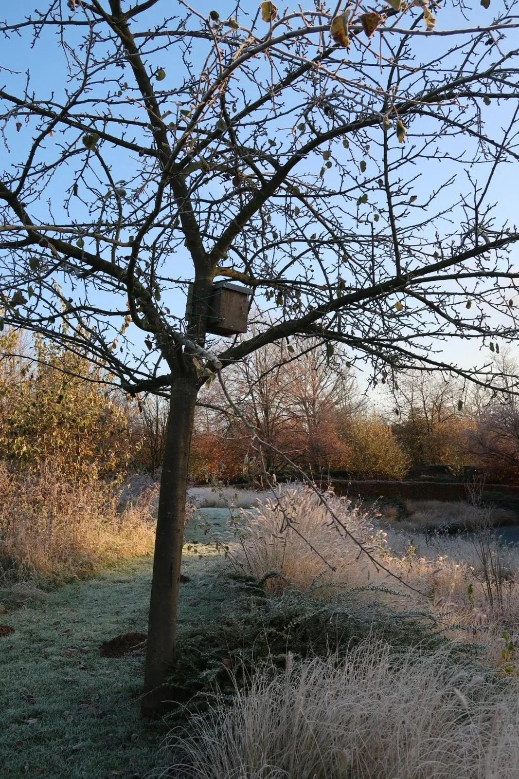 Day in B&B Park7 Wavre - Leuven