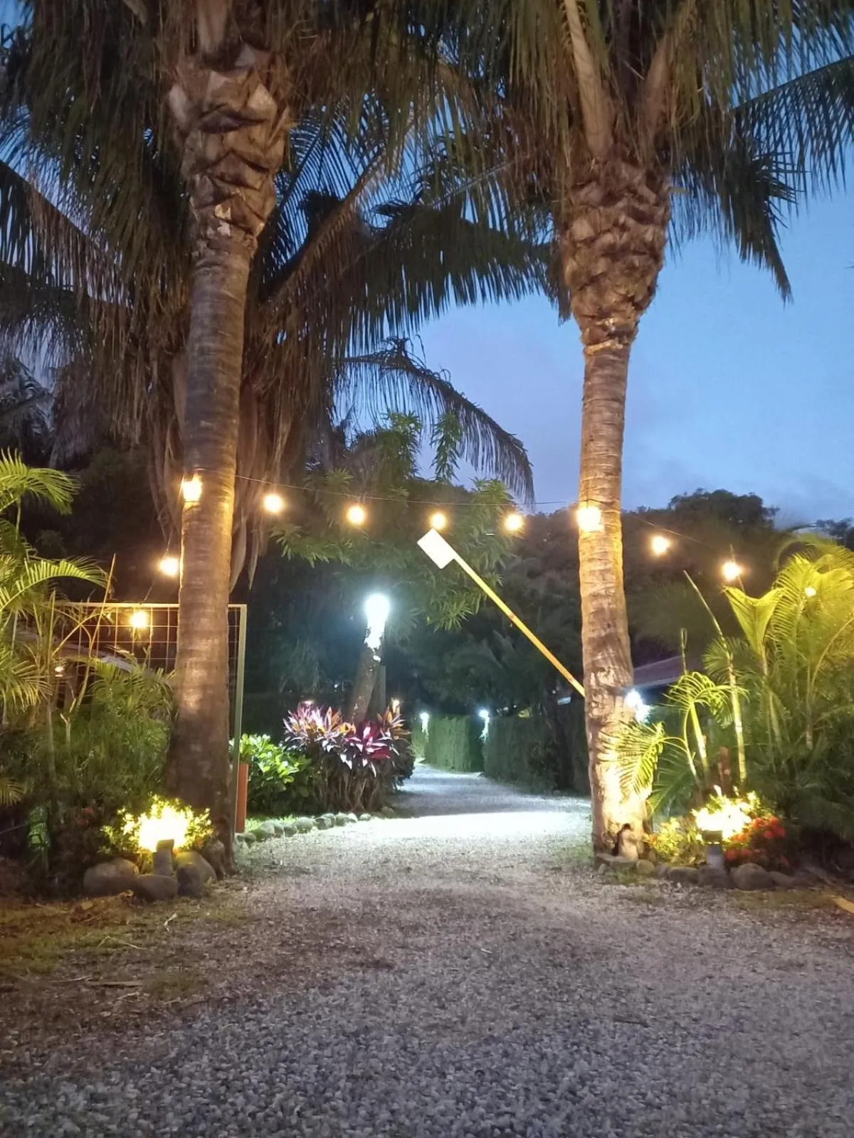 Night in Esencia Hotel and Villas