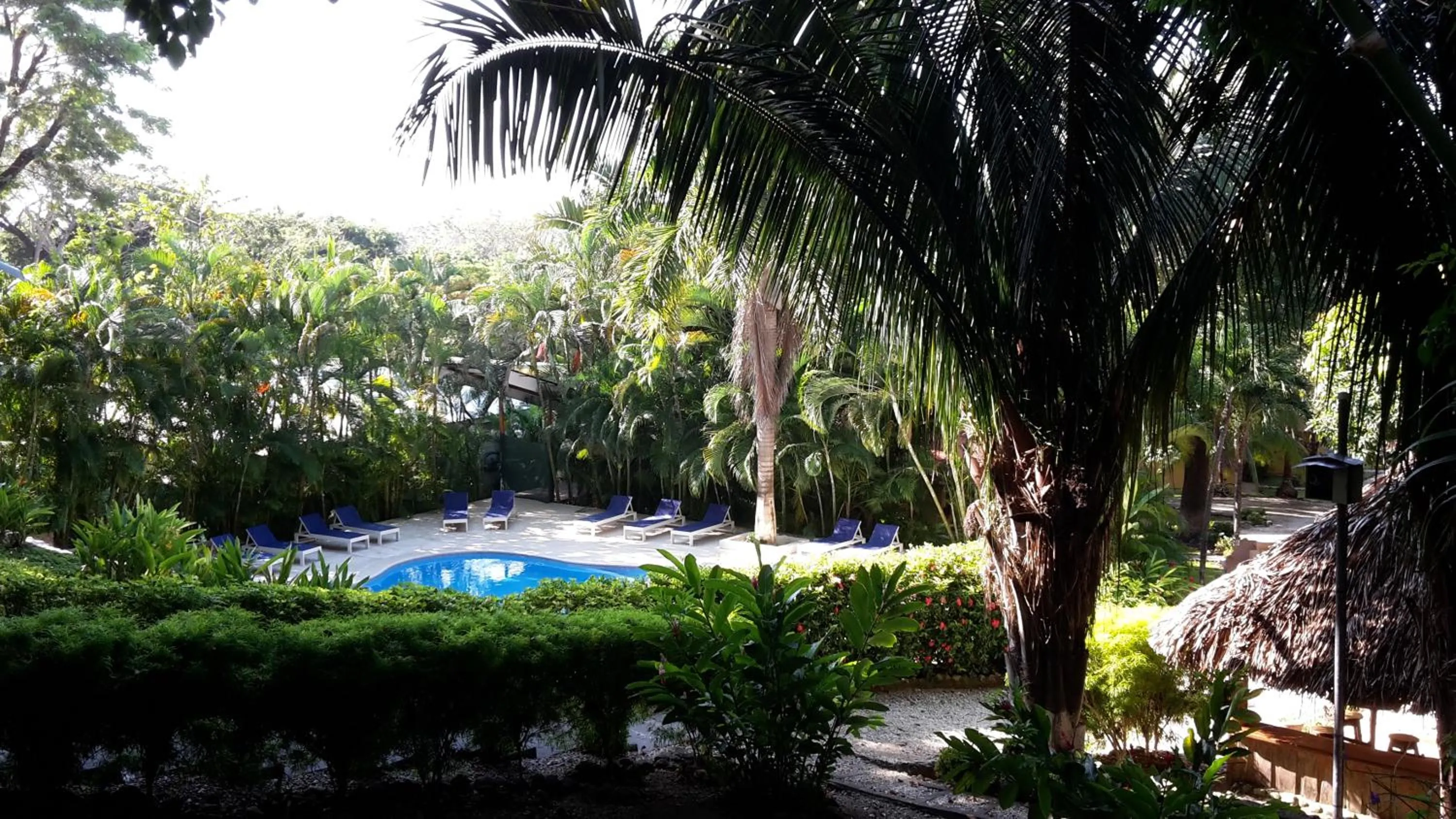 Pool view in Esencia Hotel and Villas