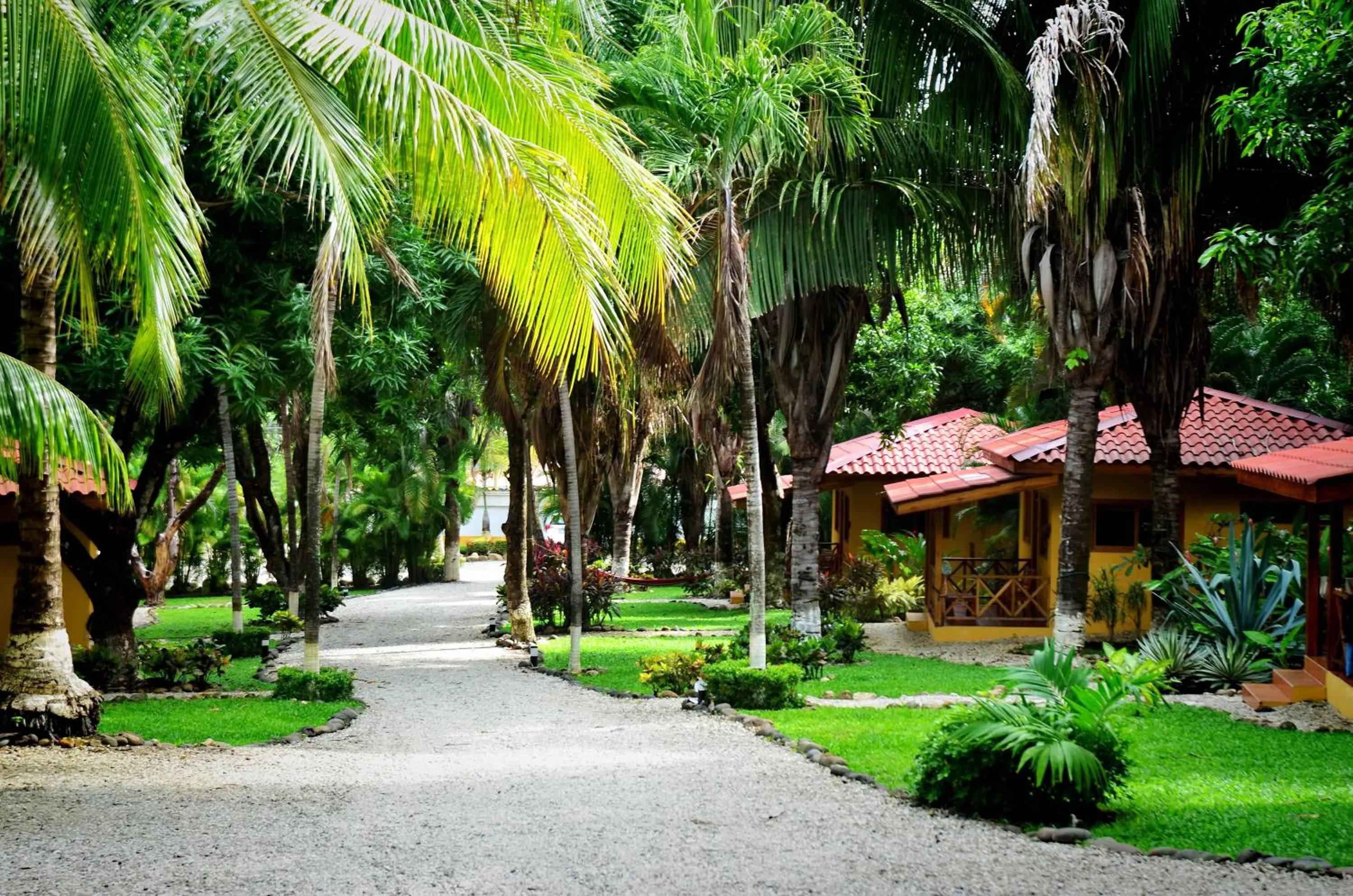 Garden in Esencia Hotel and Villas