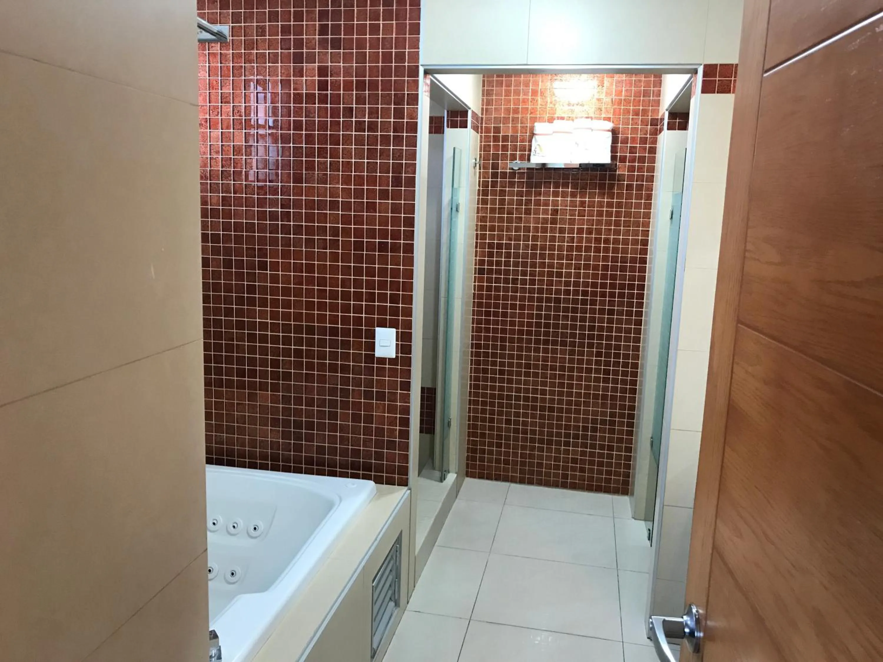 Shower in Hostalia Hotel Expo & Business Class