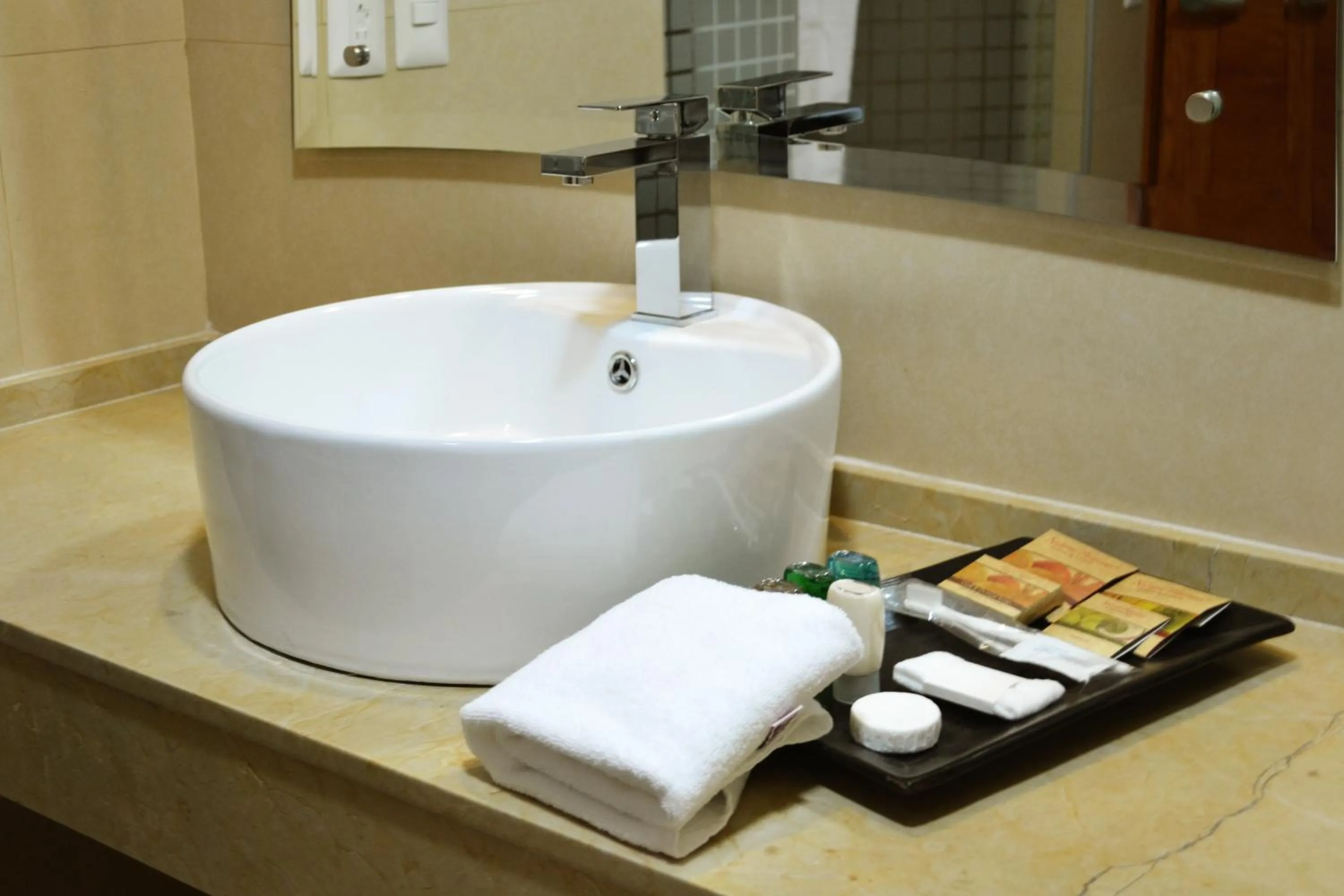 Shower in Hostalia Hotel Expo & Business Class