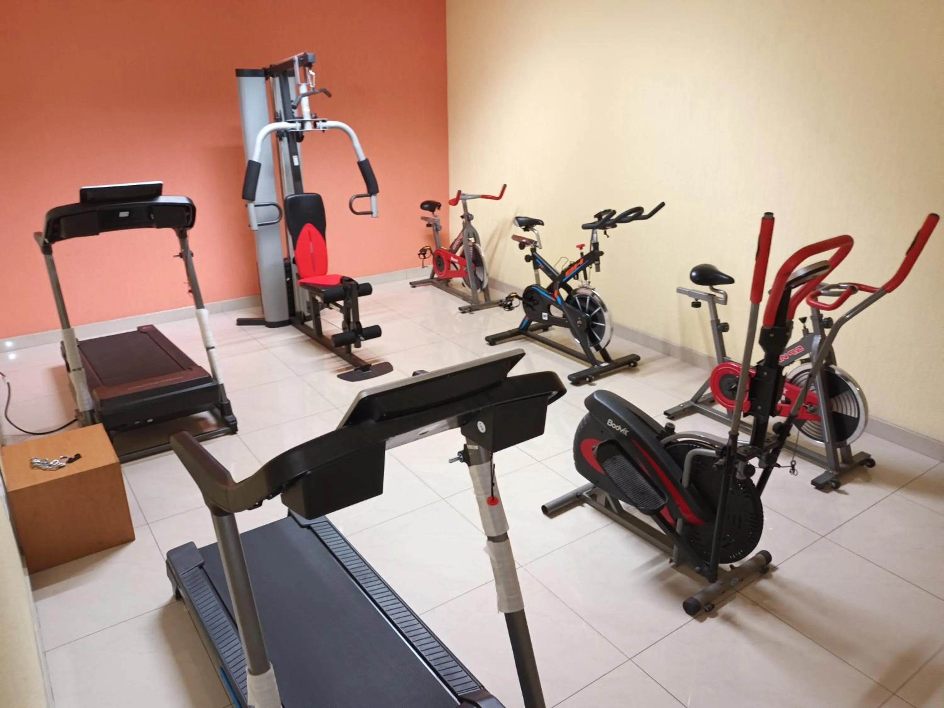 Fitness centre/facilities in Hostalia Hotel Expo & Business Class