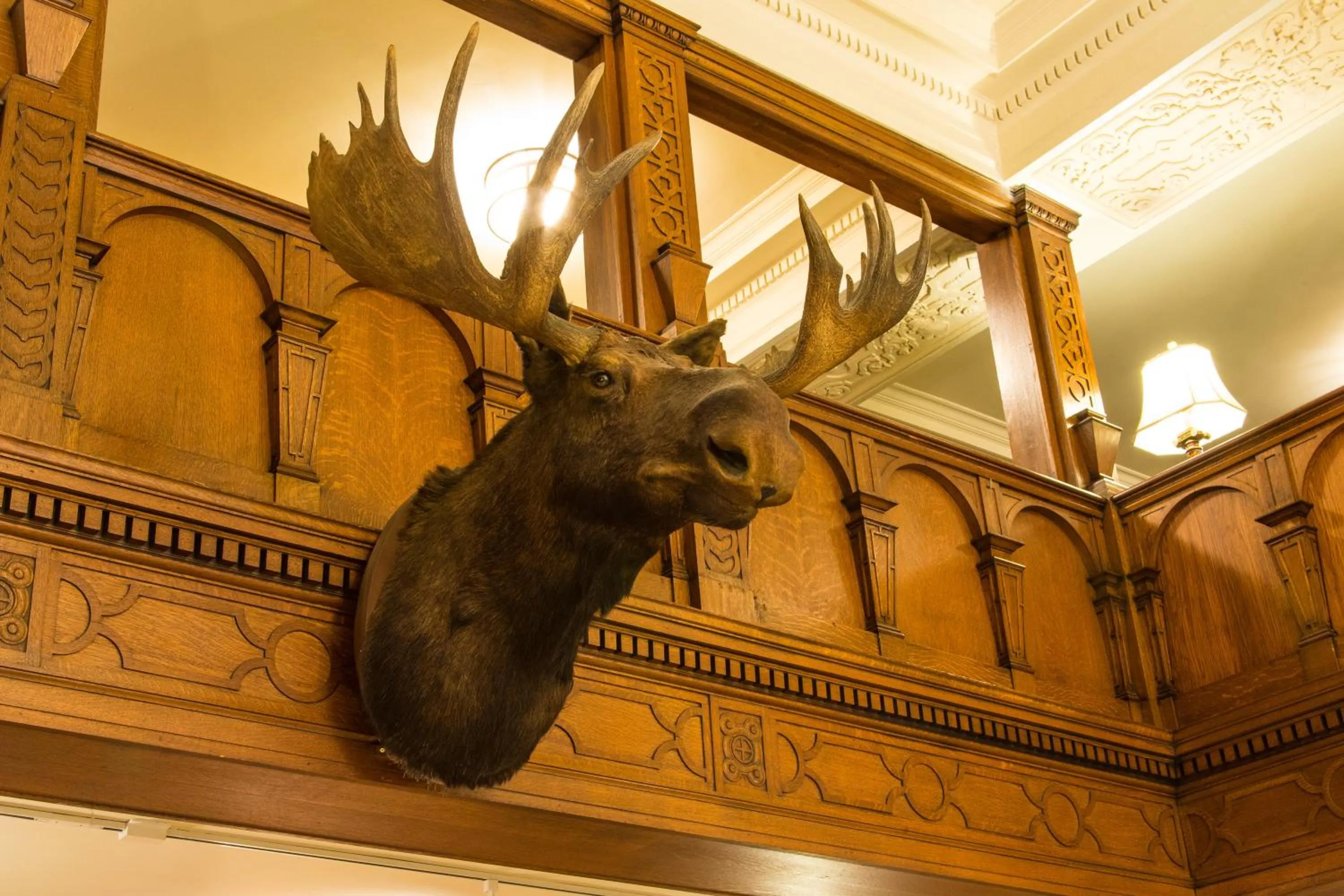 Missouri Athletic Club