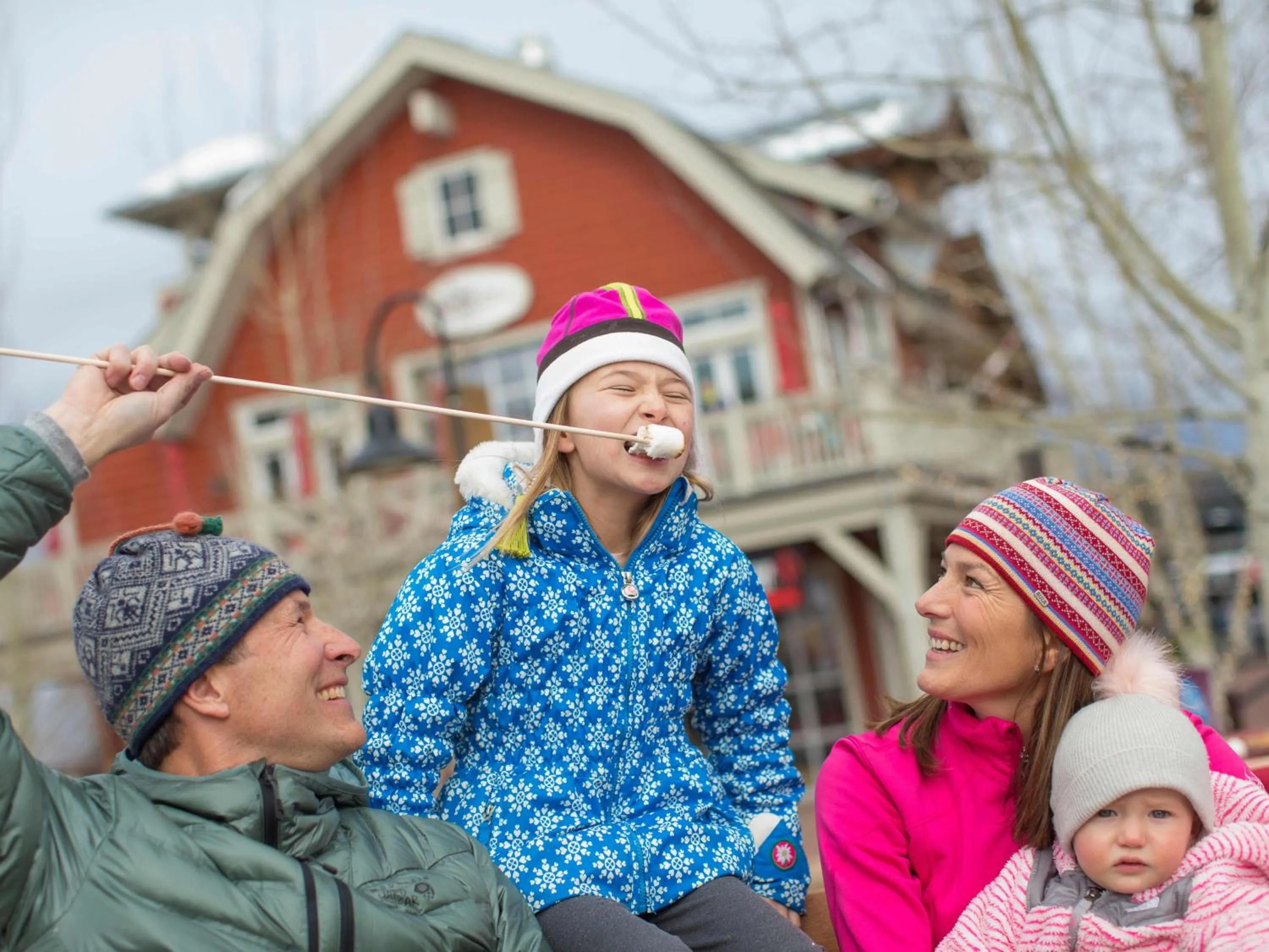 Terracehouse - CoralTree Residence Collection