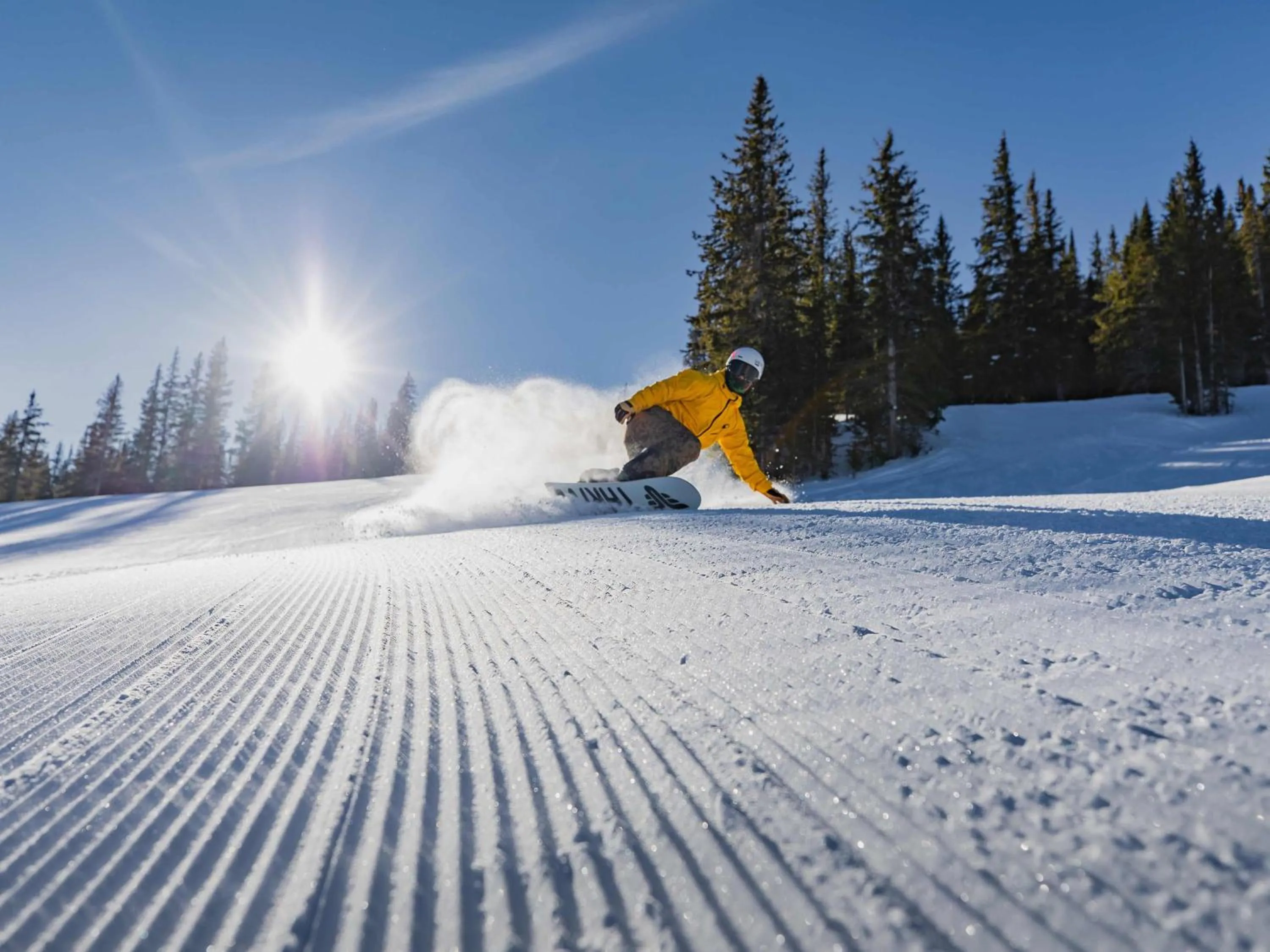 Terracehouse - CoralTree Residence Collection