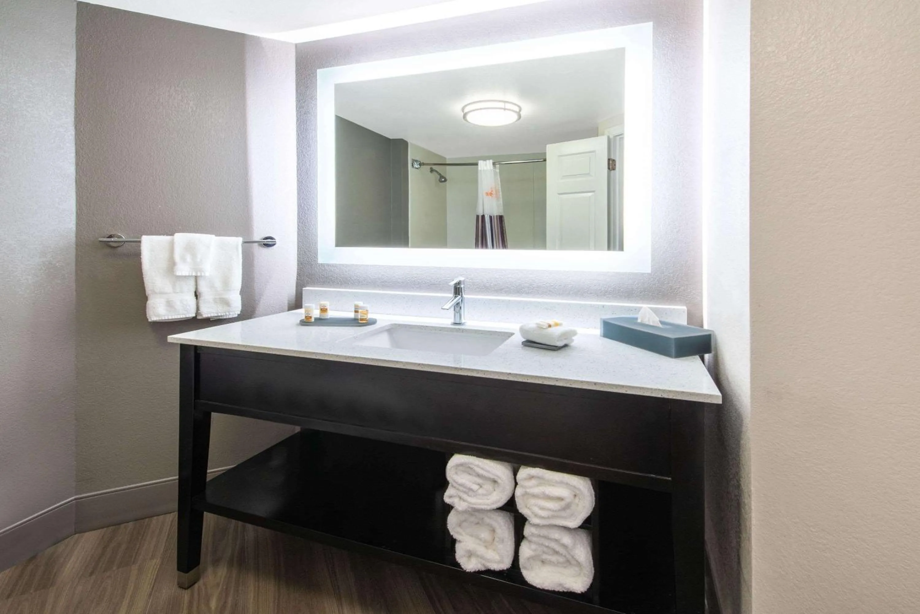 Bathroom in La Quinta by Wyndham Tampa Brandon Regency Park