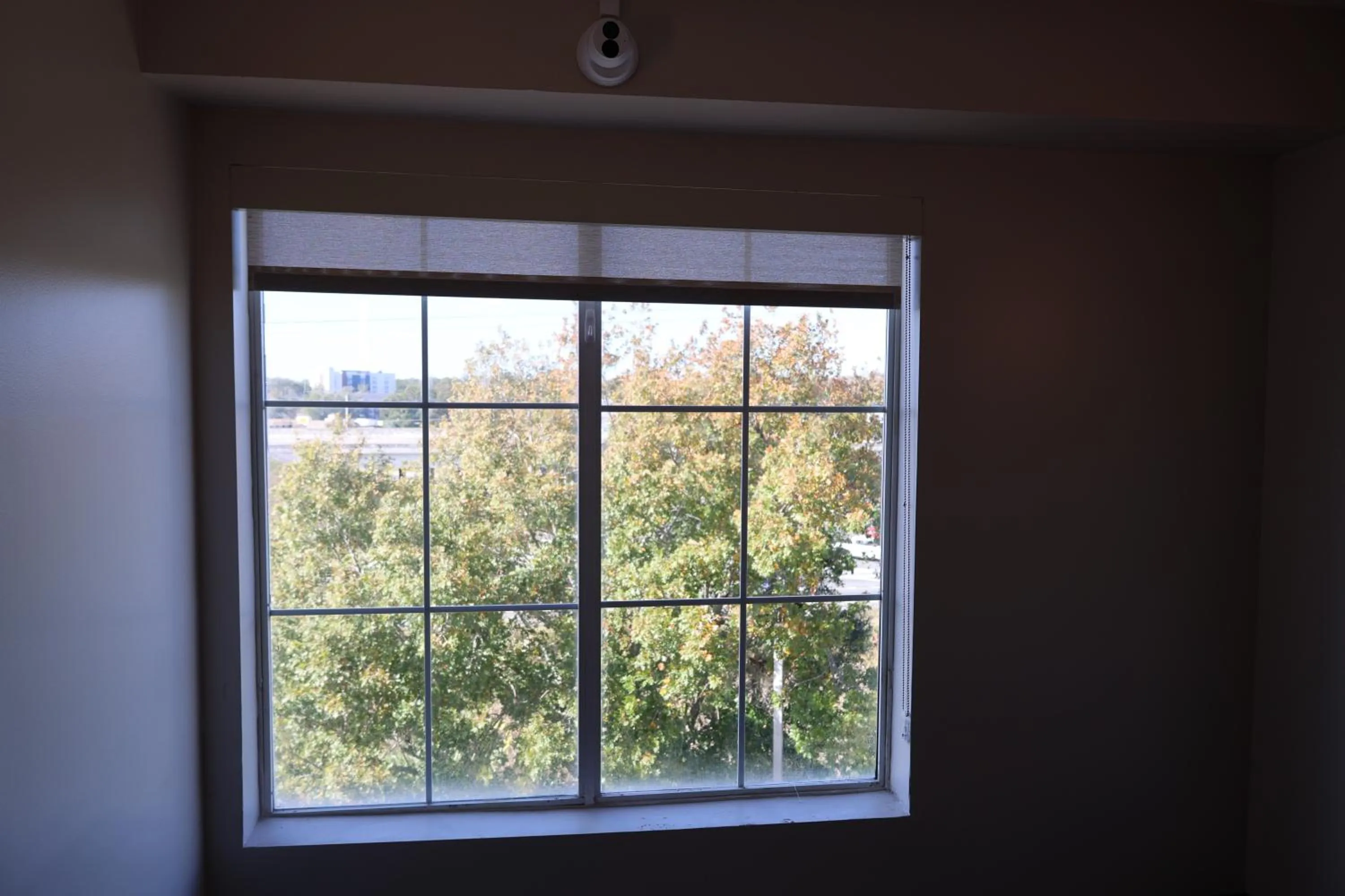 La Quinta Inn and Suites by Wyndham, Ocala