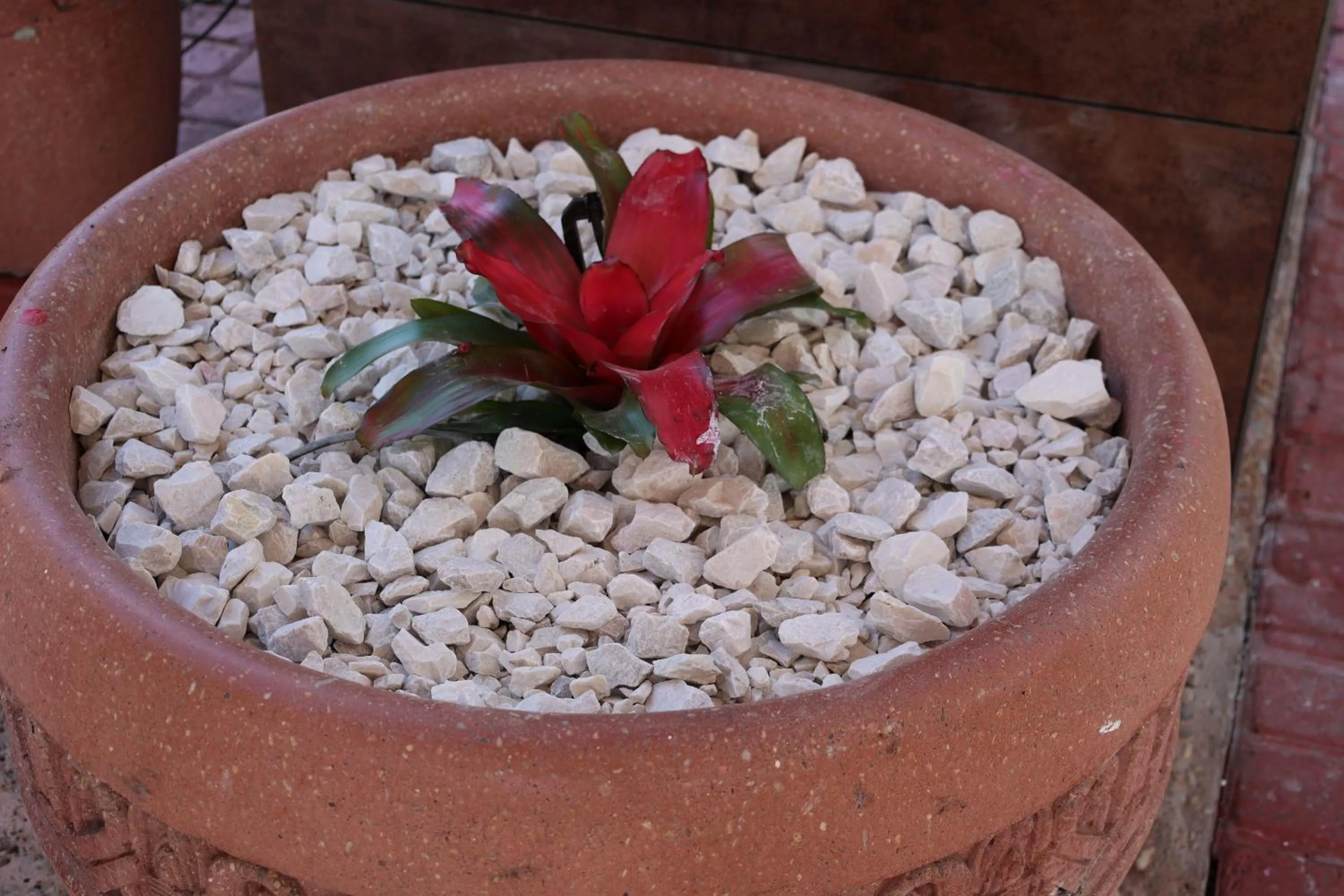 Property building in La Quinta Inn and Suites by Wyndham, Ocala